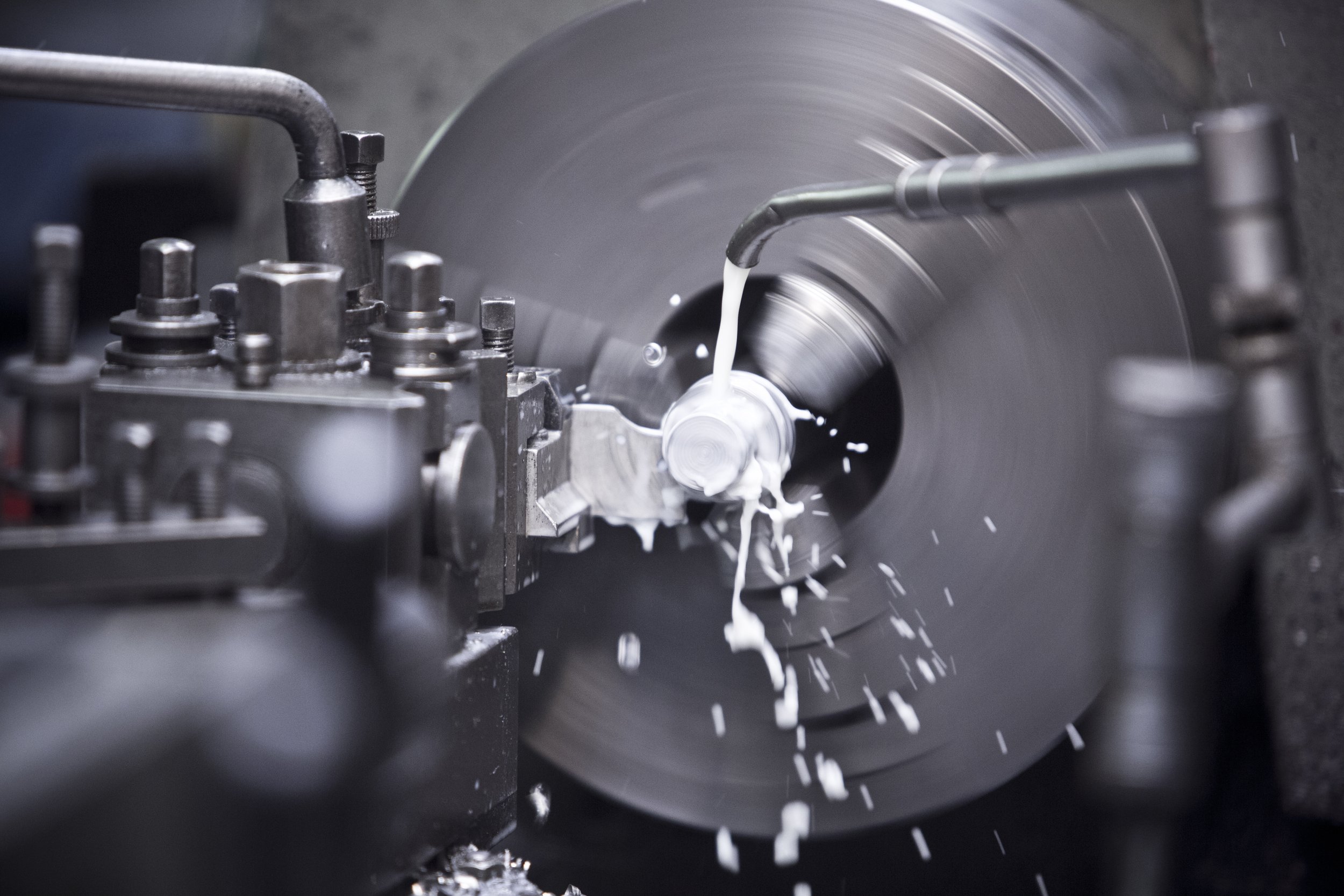 PA1A4611 Birch 030715 www.johnzammit.co.uk absolute photography ltd.jpg