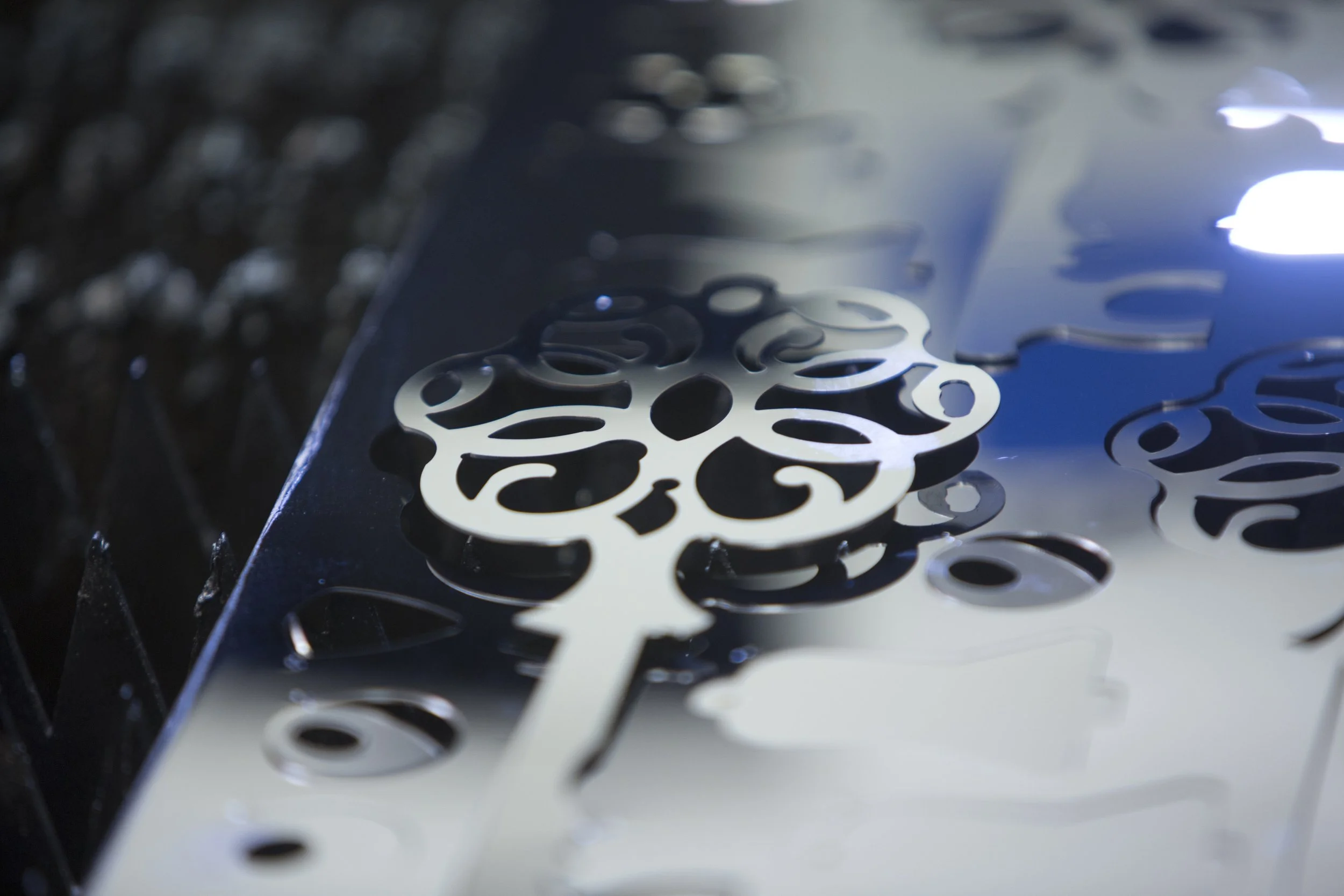 PA1A4107 Birch 030715 www.johnzammit.co.uk absolute photography ltd.jpg