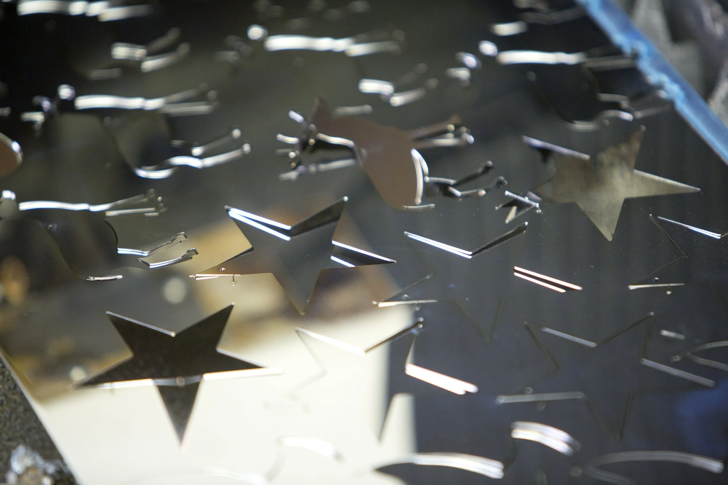 PA1A4119 Birch 030715 www.johnzammit.co.uk absolute photography ltd.jpg