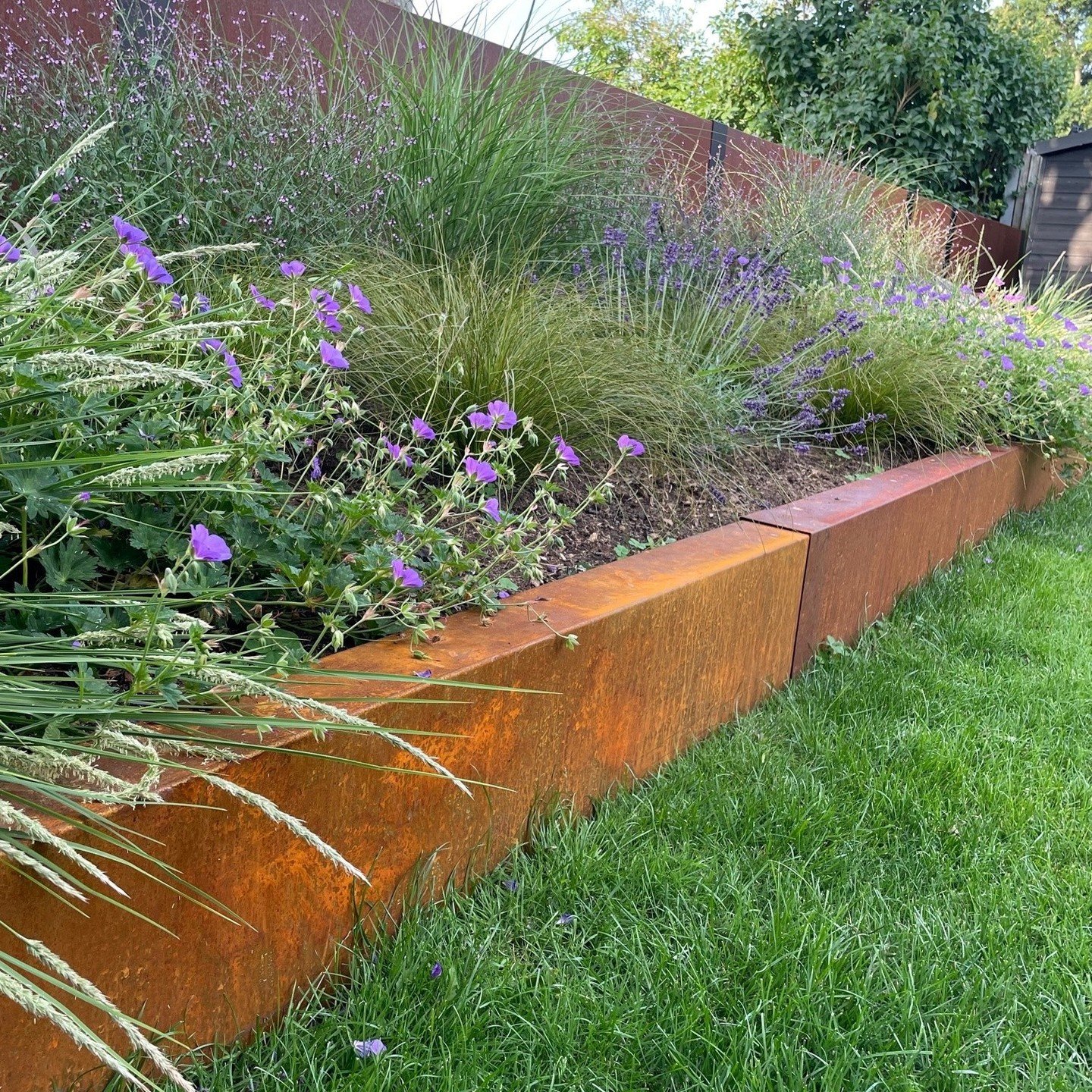 An interesting Concept and produced At Birch Engineering. Corten Cladded Fencing Panels really Highlighting the colours of the Flowers. #weatheredcorten #gardendesign #hertfordshire #birchengineering #landscaping #modern #cortensteel