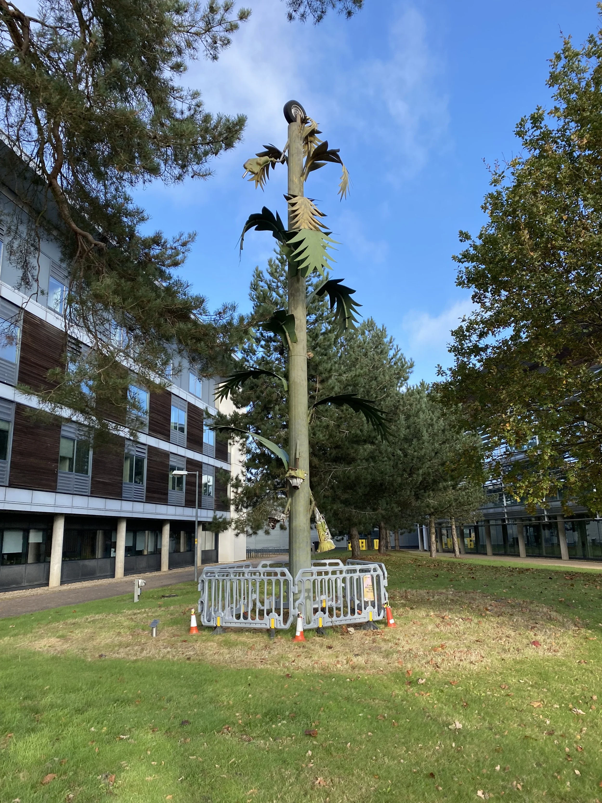 Large artificial sunflower sculpture outdoors, surrounded by small plastic barriers and traffic cones, with trees and a modern office building in the background.