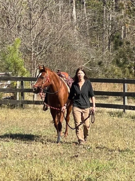 A woman leading a brown horse on a grassy field who is happy because she hired a professional organizer and decluttering specialist for her horse barn in Cobb County, Georgia. 