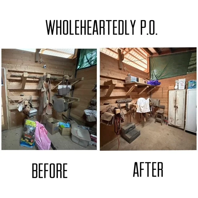 declutter and organize barn tack room, barn feed room in a horse barn in Cobb County, Georgia