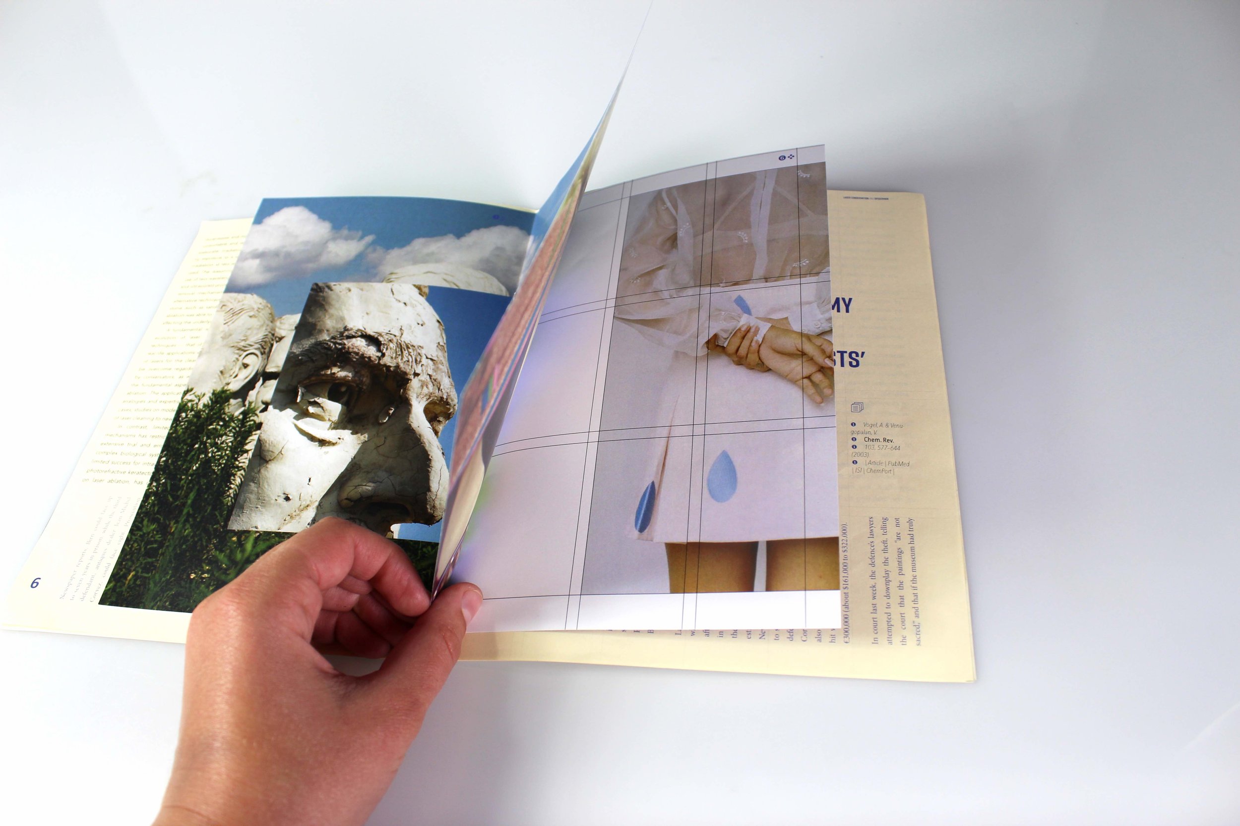 zealanother copy.jpg