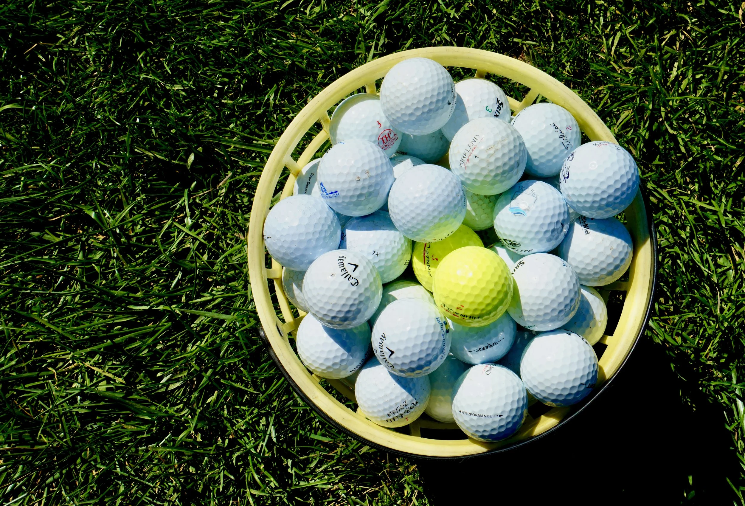 A yellow basket filled with white and one yellow golf balls, placed on green grass.