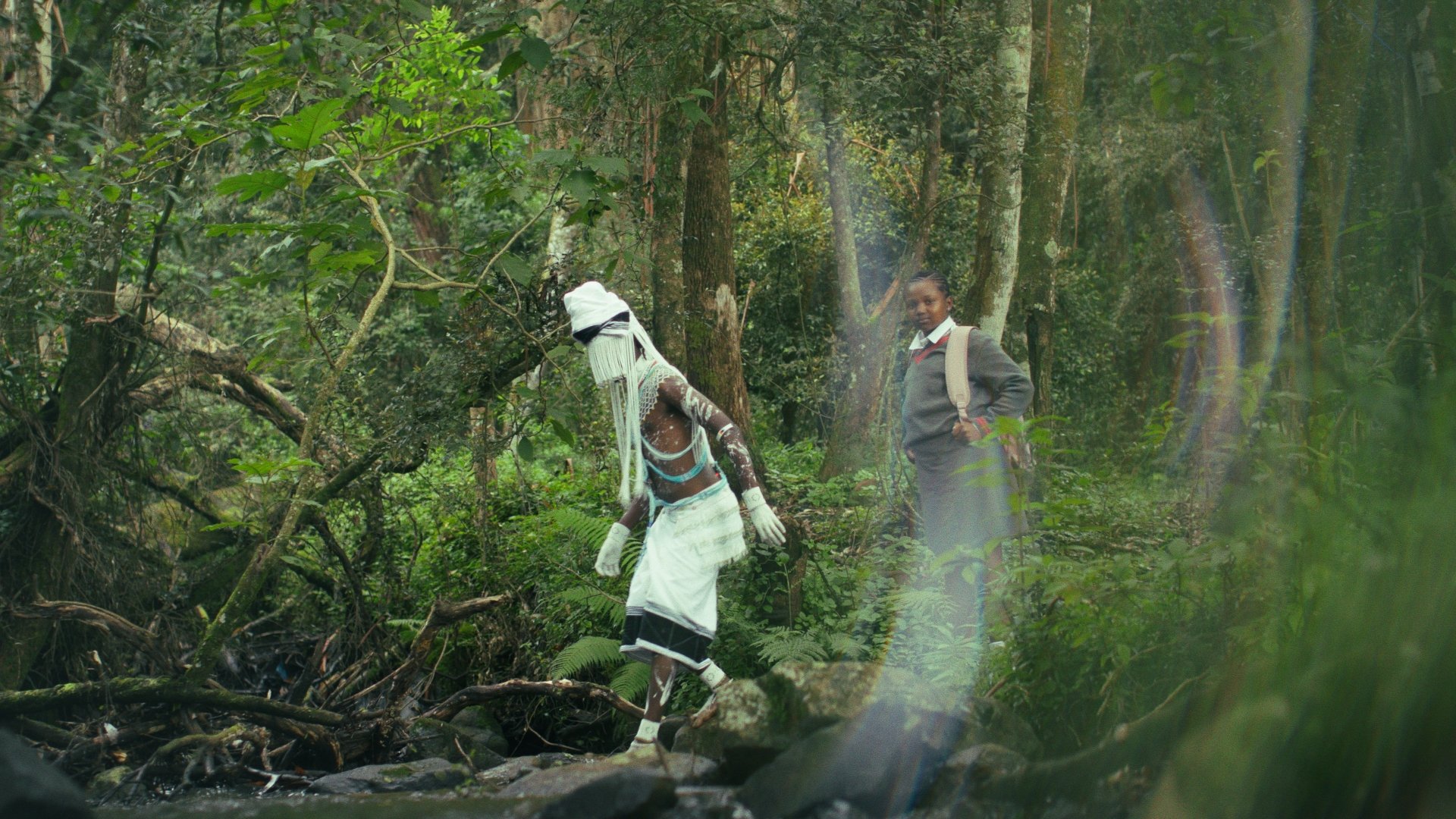 NGOMA: Song of the Universe
