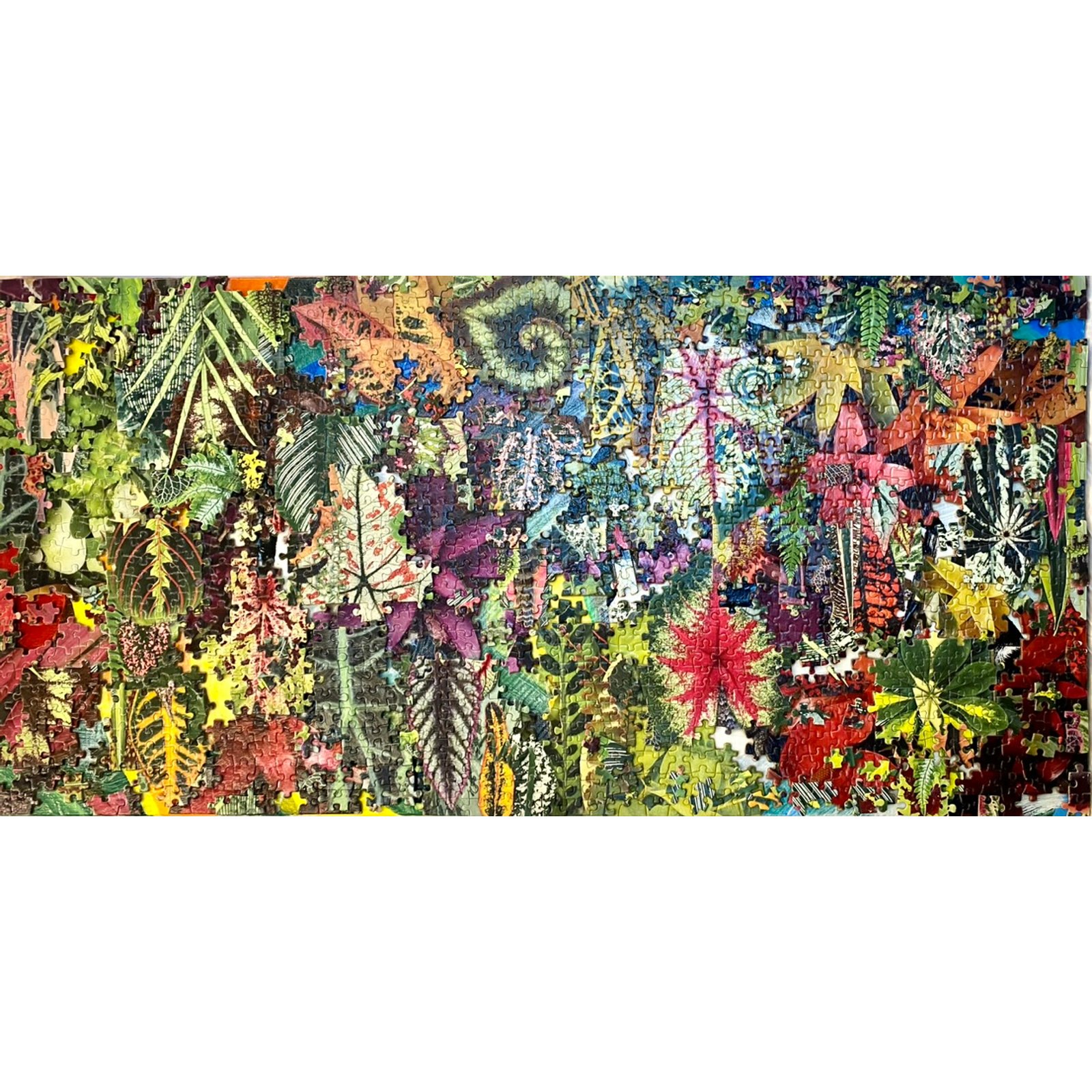 a-jigsaw-jungle-full-featured.jpg