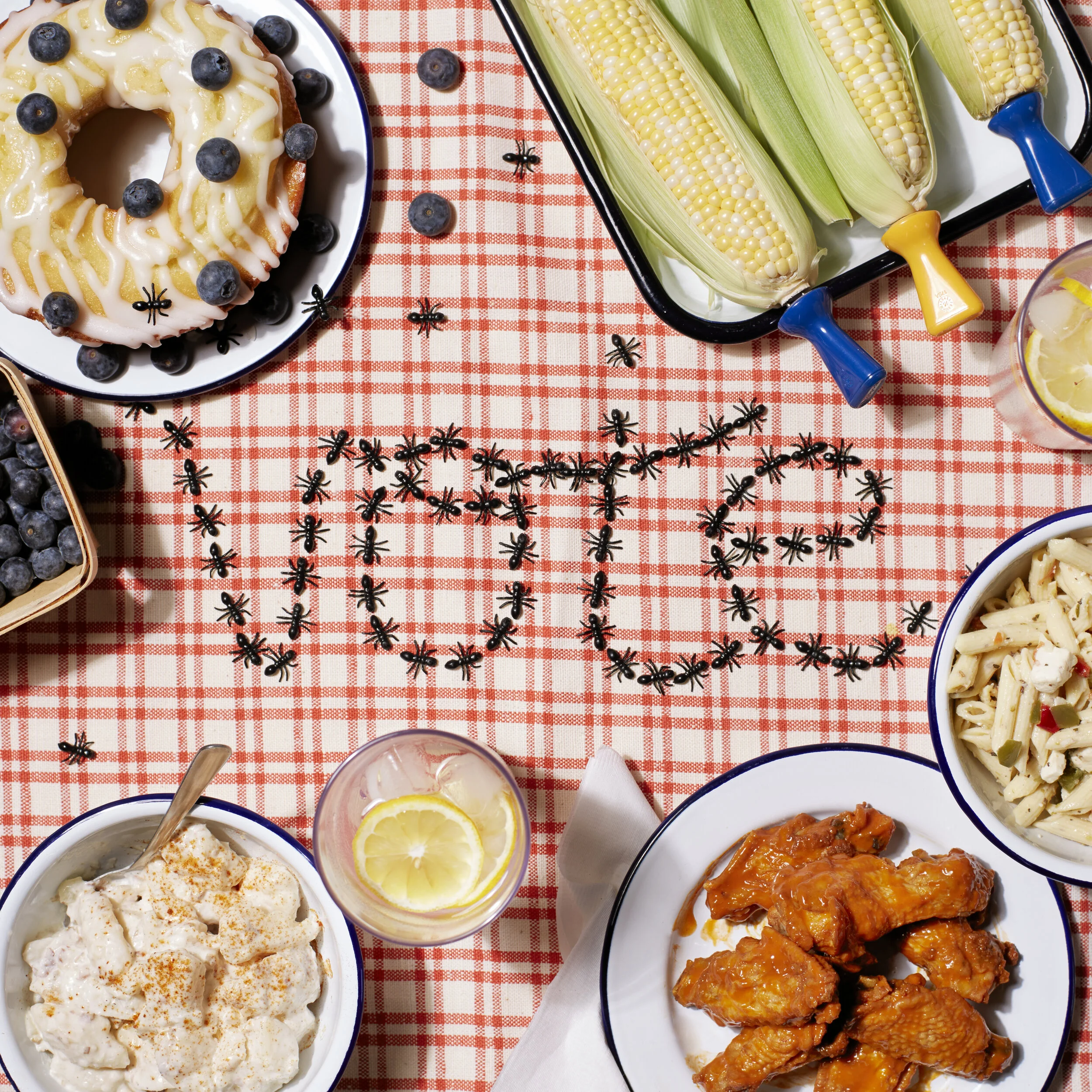 VOTE_Picnic Ants.jpg