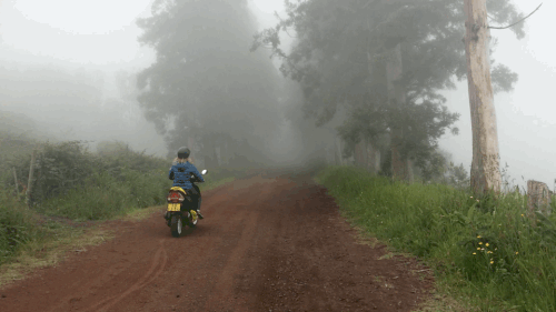 Scooters+in+the+Mist+Azores.gif