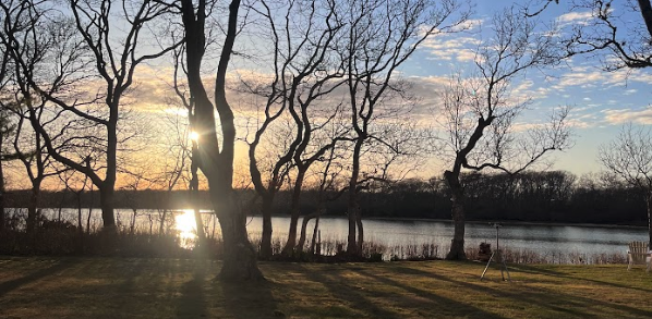 Sunset over a lake with leafless trees in the foreground and a grassy area.