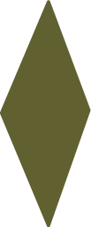 Green diamond-shaped object