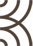Close-up of a brown and black patterned object with curved lines.