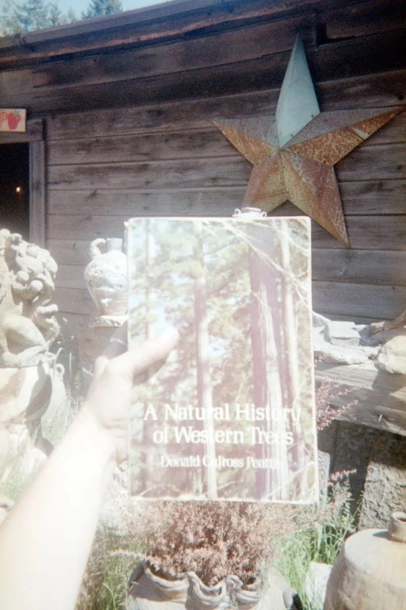 This book belonged to Sonya Popow. Nick read some excerpts to us while we were firing.