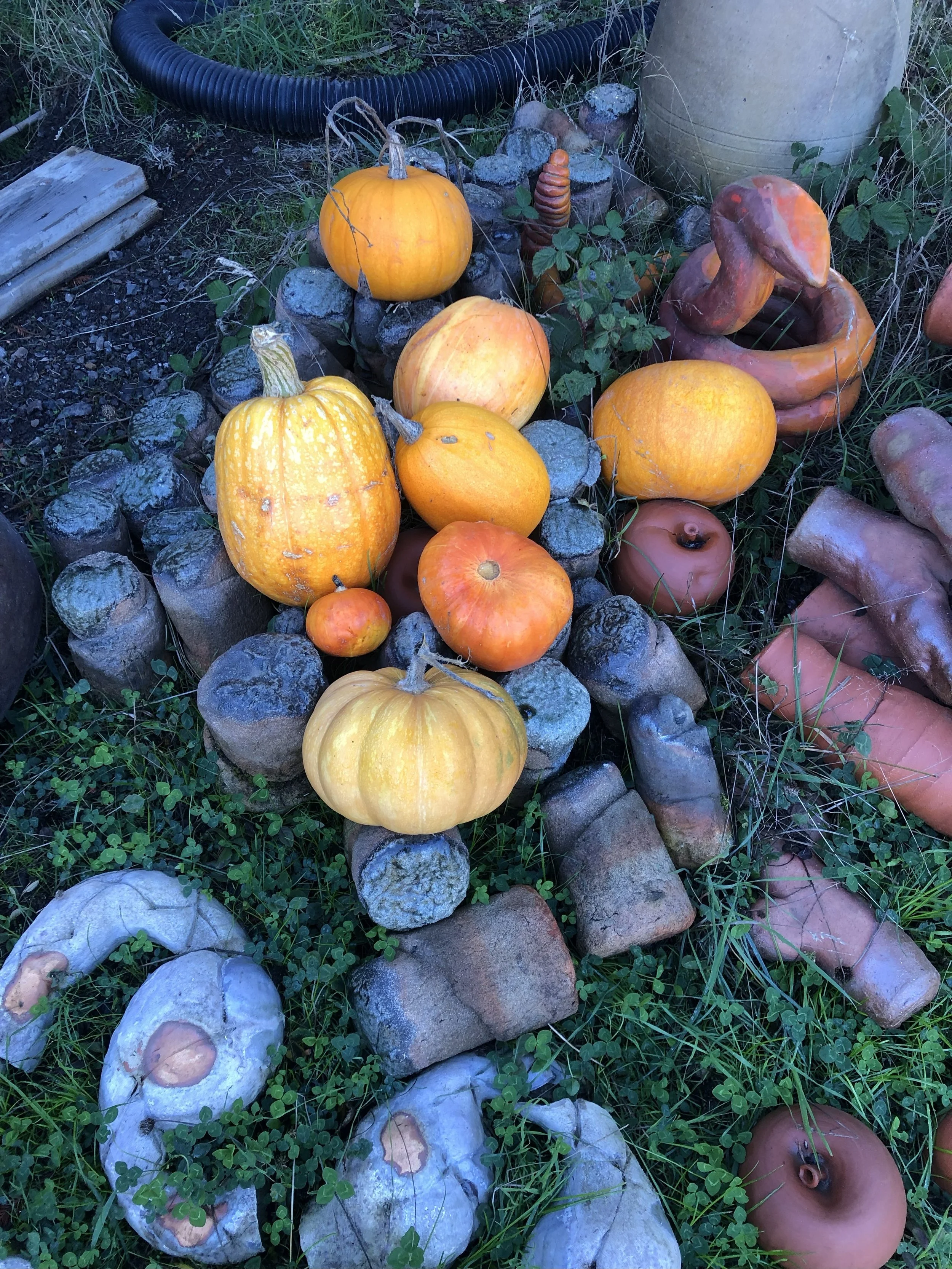 pumpkins on top of Jess's work