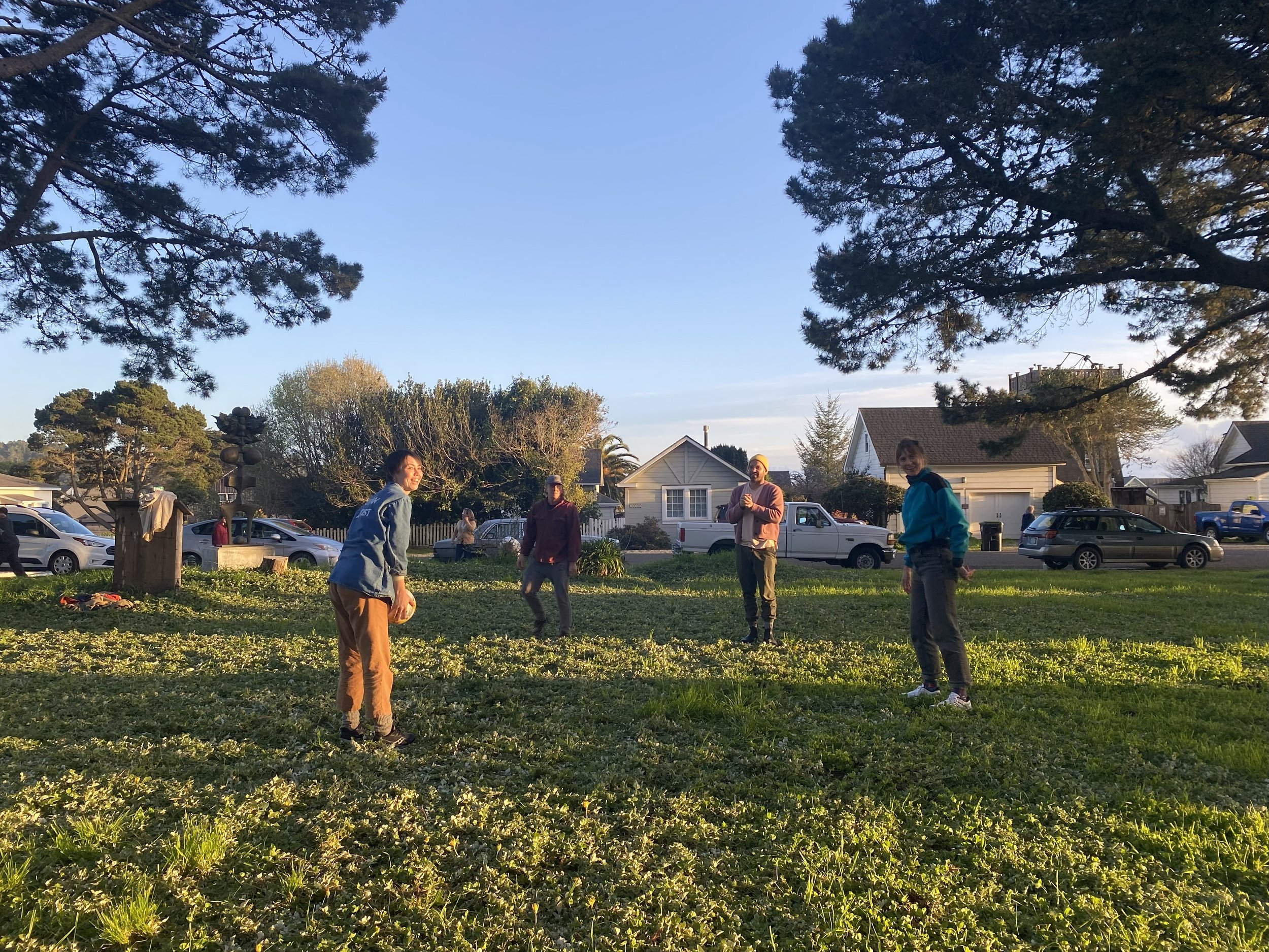 Friends on the lawn!