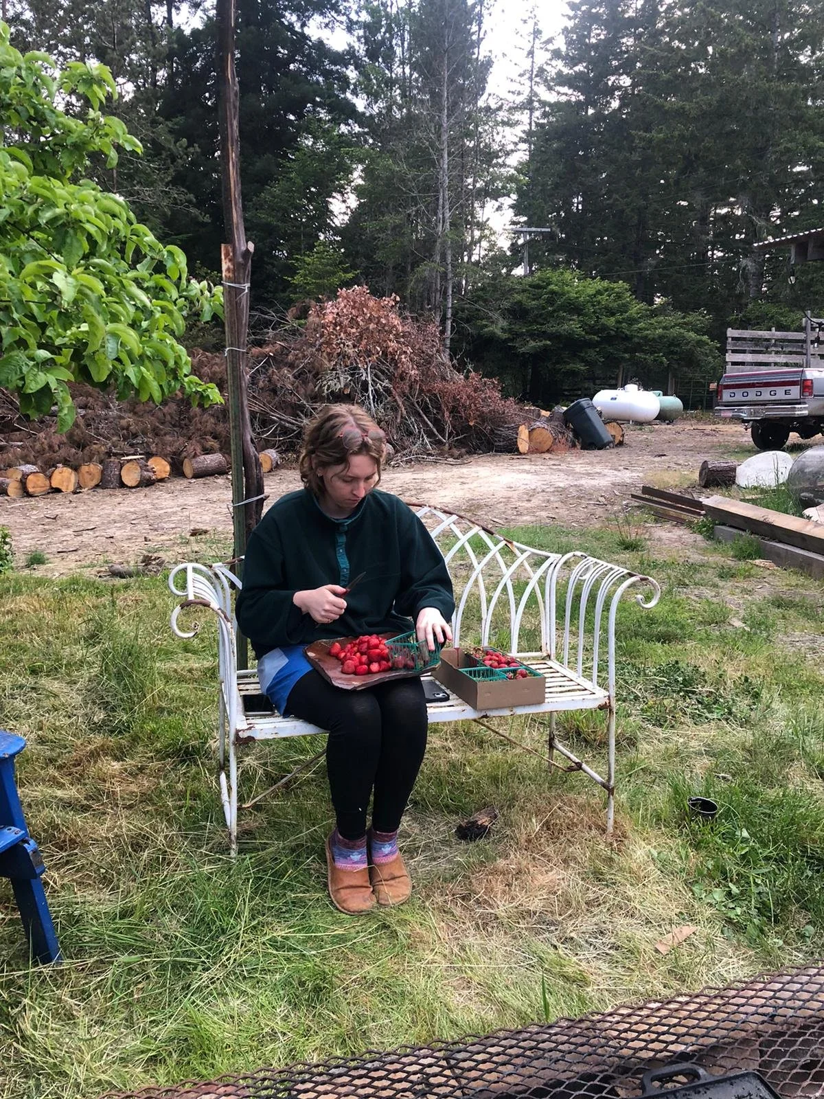 Meg cutting up Watmaugh strawberries for dinner