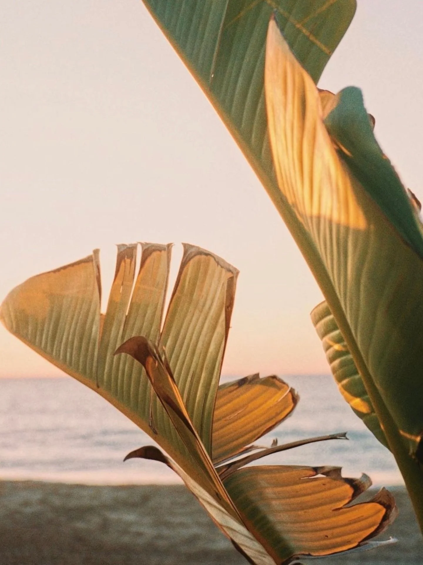 Mark your calendars &ndash; discounted pre-sale memberships &amp; class packages go live next week. 

@pinterest