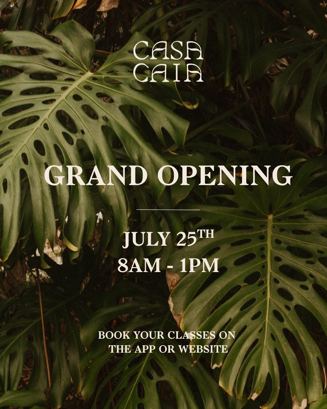 Casa Caia Grand Opening 