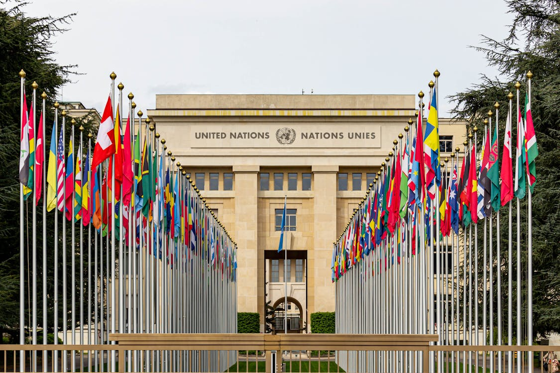 United Nations - image by Hugo Magalhaes.png