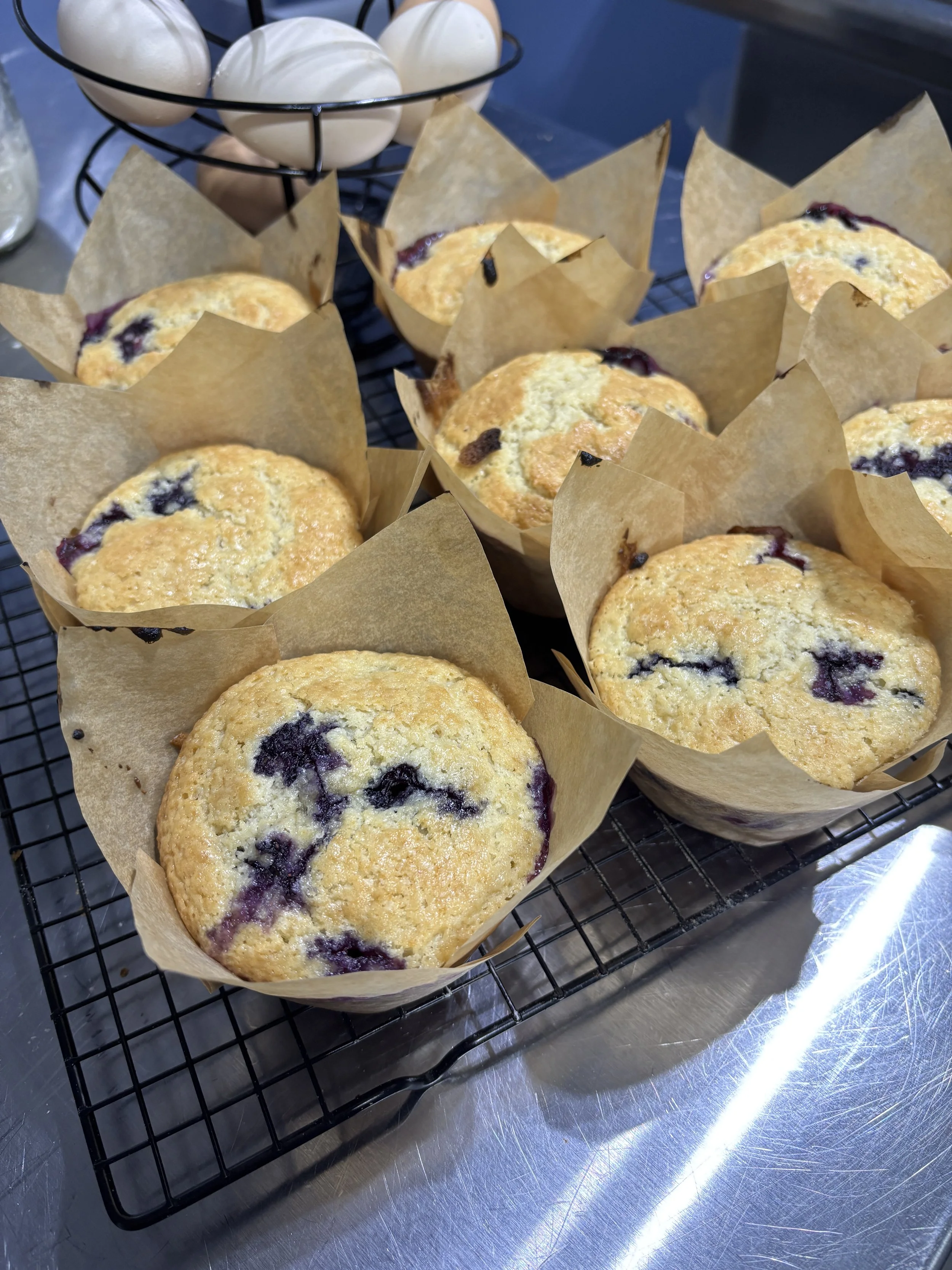 Sourdough Blueberry Muffin