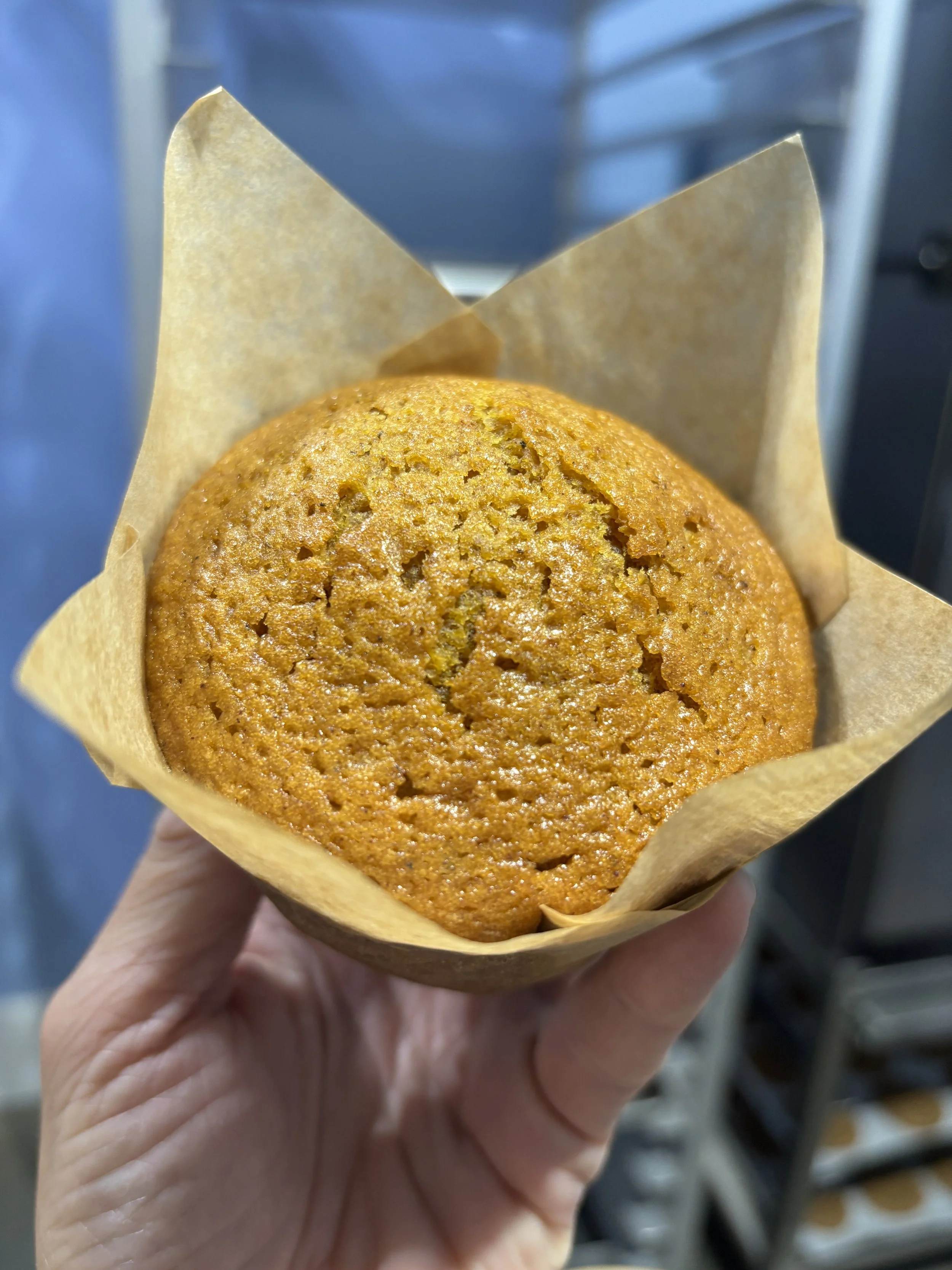 Pumpkin Muffin