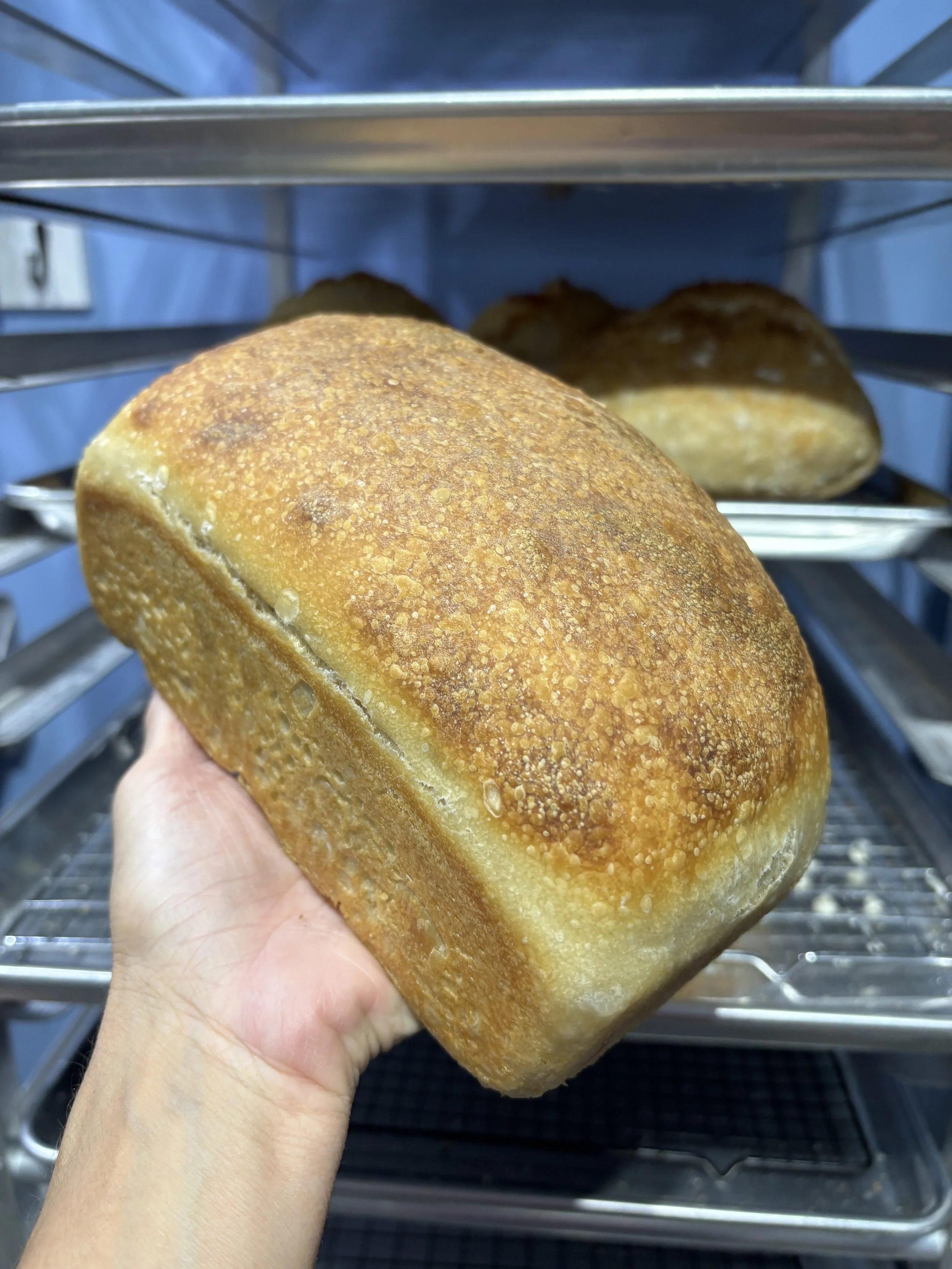 Sourdough Sandwich Loaf