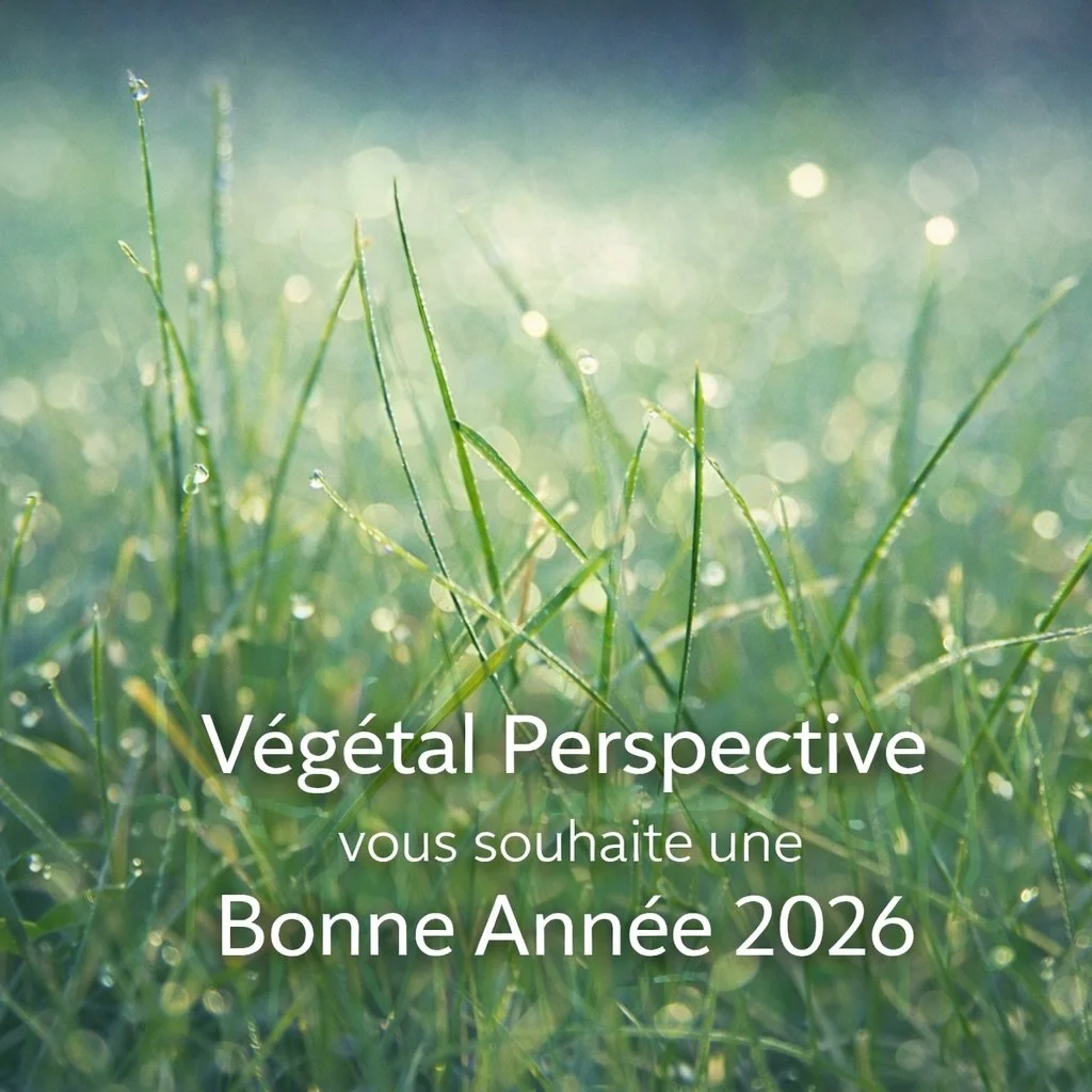 ✨ Bonne Ann&eacute;e 2026 ✨

Une nouvelle ann&eacute;e s&rsquo;ouvre, port&eacute;e par le v&eacute;g&eacute;tal, source d&rsquo;&eacute;quilibre et d&rsquo;inspiration.
Que 2026 soit une ann&eacute;e de croissance ma&icirc;tris&eacute;e, d&rsquo;har