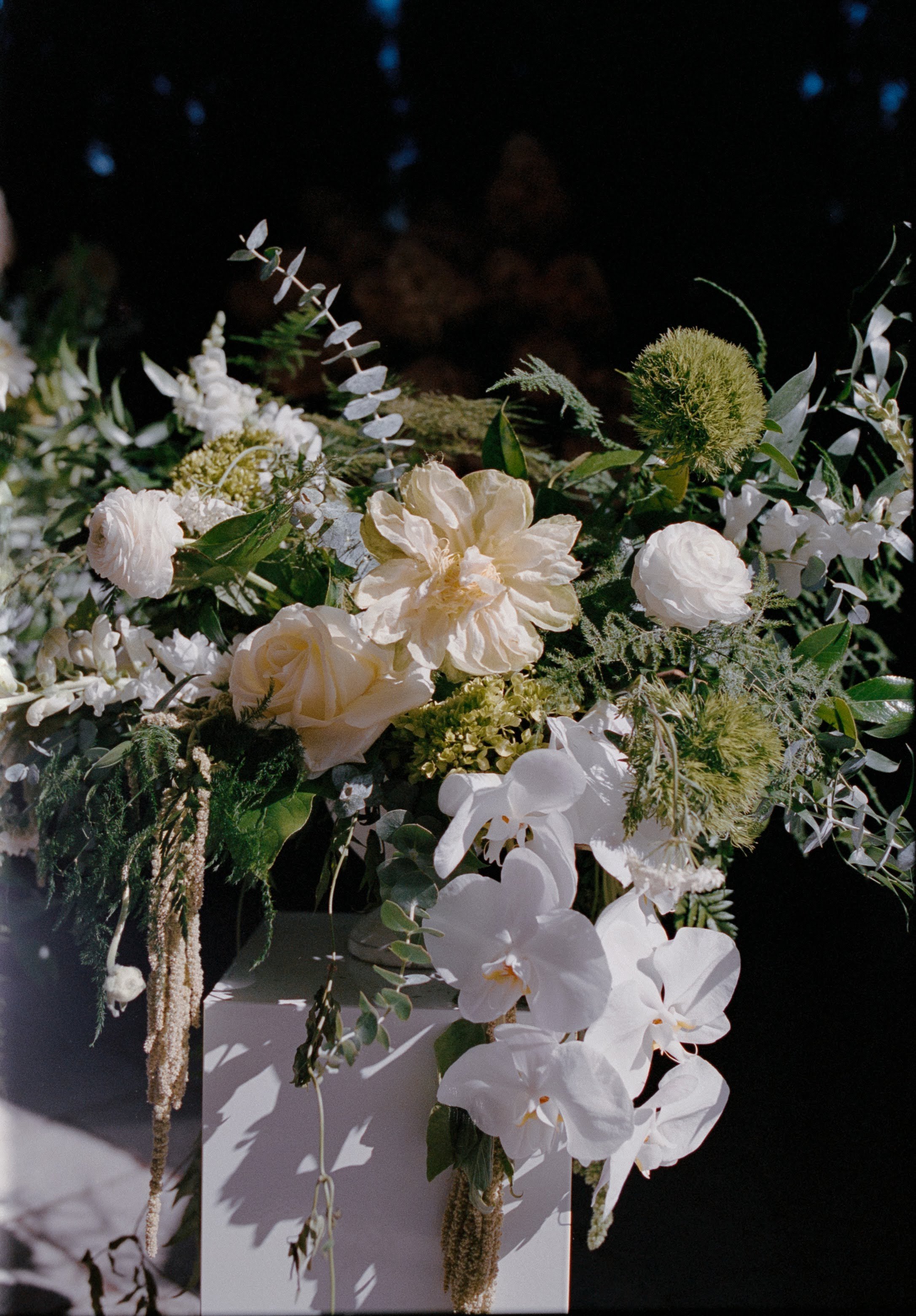 A cascading floral arrangement with white roses, orchids, and other green foliage.
