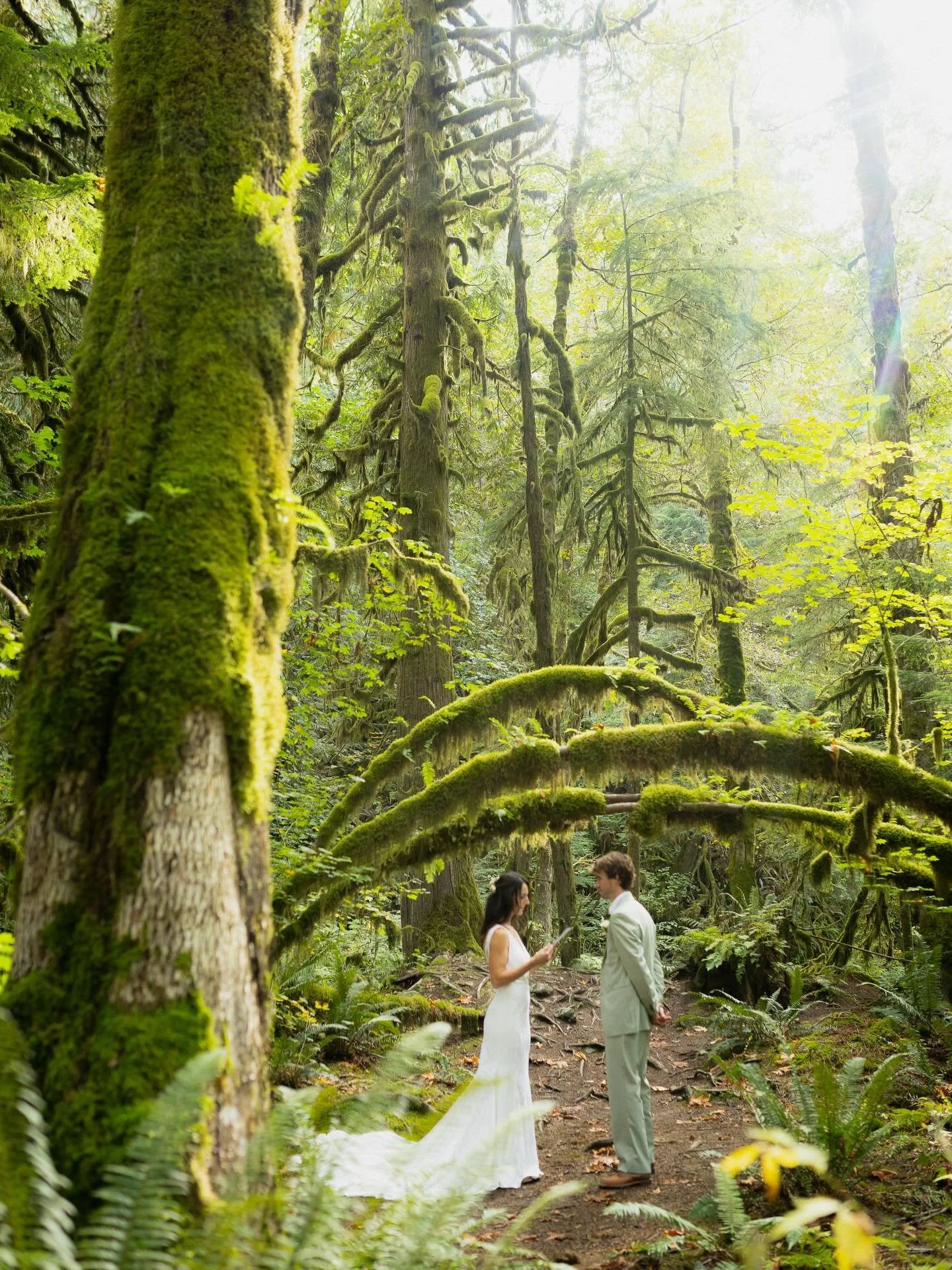 When your first look is in the magical forest of Squamish 🧚🏻 

Wedding planning: @kathryngraystonweddings 
Photography: @cloverjunephotography @erinelizabethphotog 
Hair and Make Up: @kailipovoden @whistlerweddingmakeup 
Florals: @weddingswithbilli