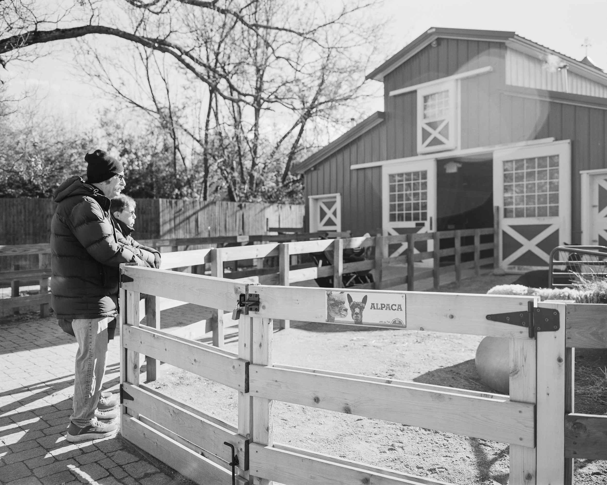 Seungwon_Baek_Zoo-watcher.jpg