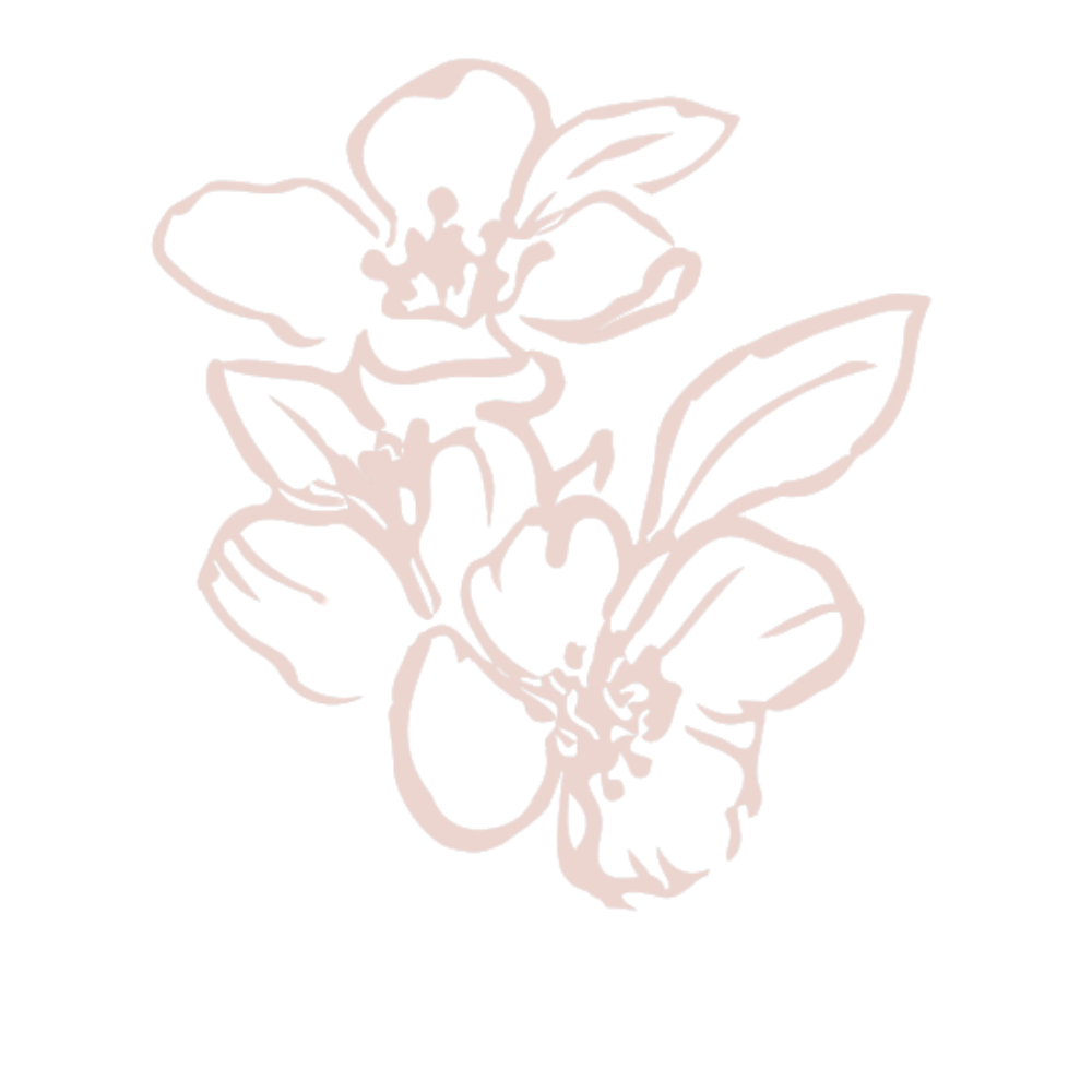 Line drawing of pink flowers with leaves on a black background.