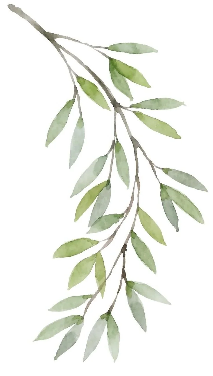Watercolor painting of a green leafy branch with multiple leaves.