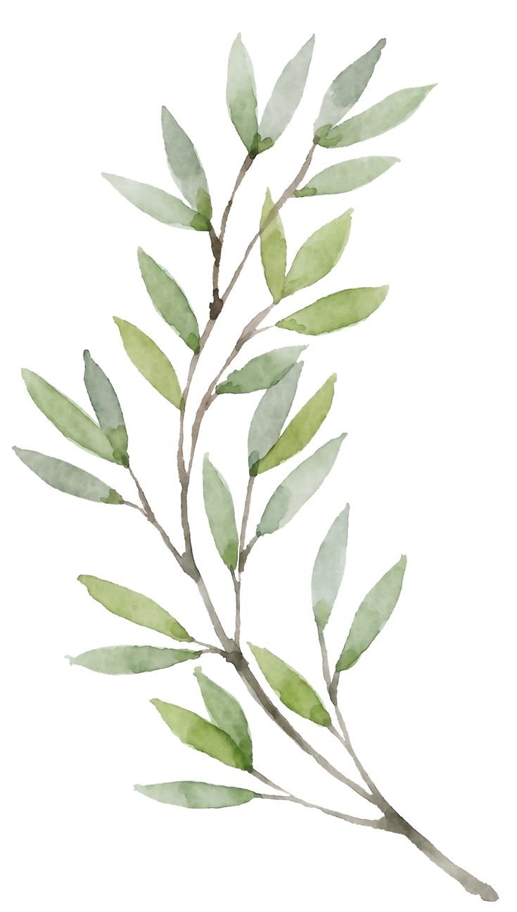 Watercolor illustration of a leafy branch with green elongated leaves on brown stems.