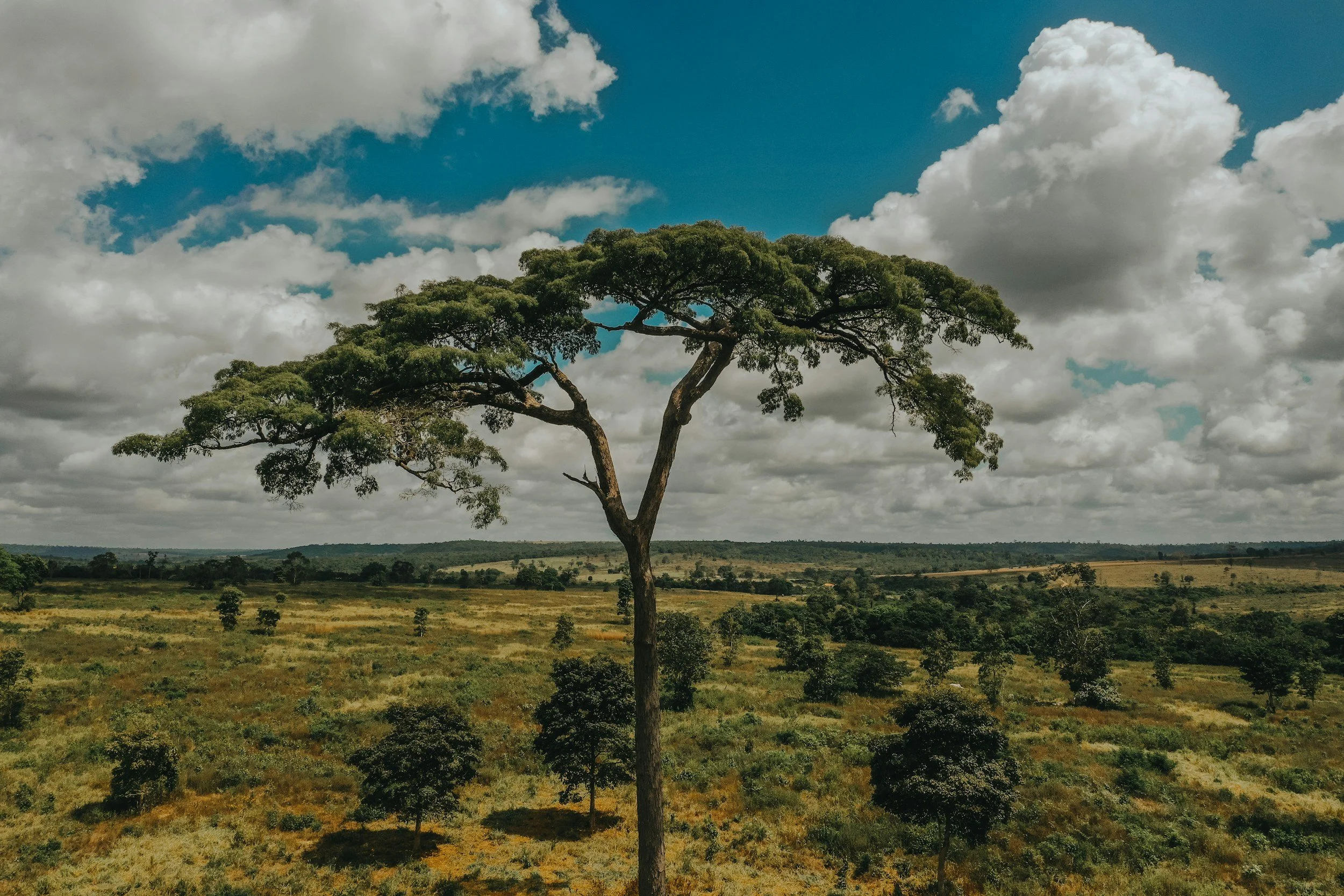 unsplash-image-uiFJndlqKVs.jpg