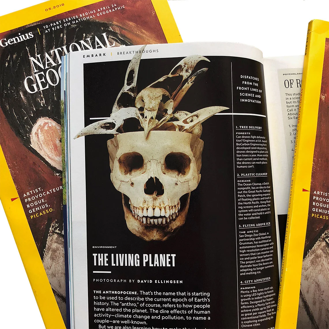 NatGeoPrint-news.jpg