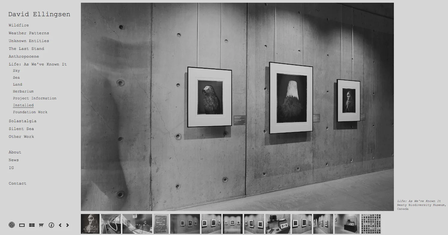 The Artists Tool Kit.jpg