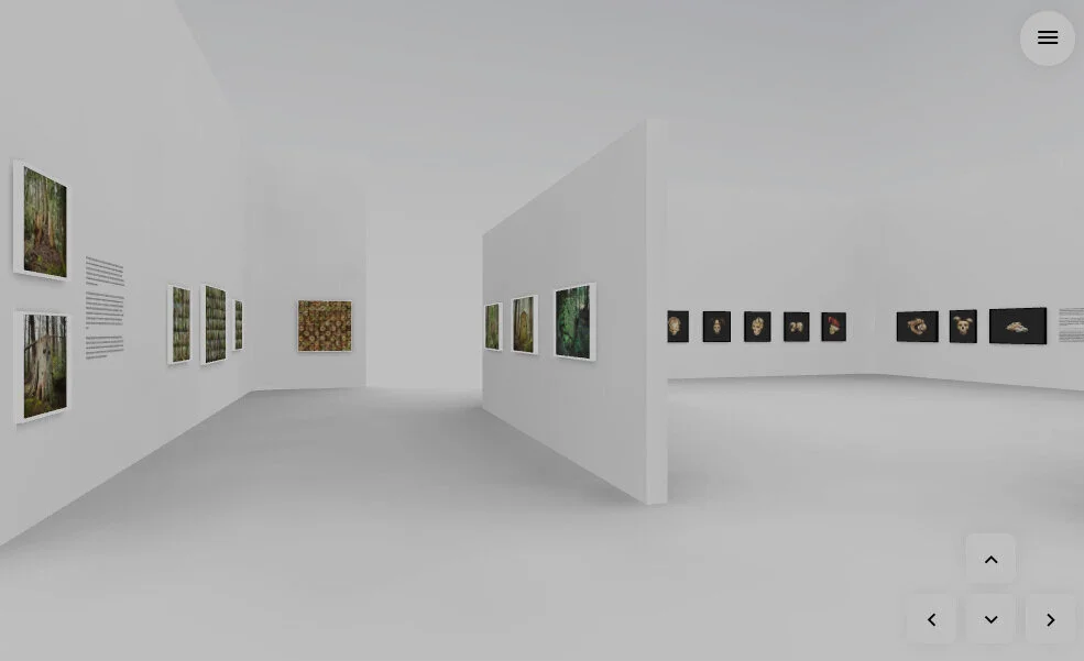 Virtual+exhibition+construction+sample.jpg