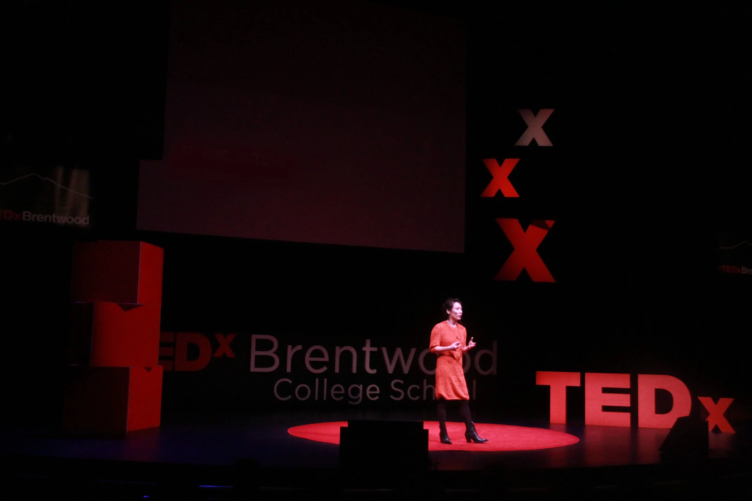 TedX Talk1.jpg