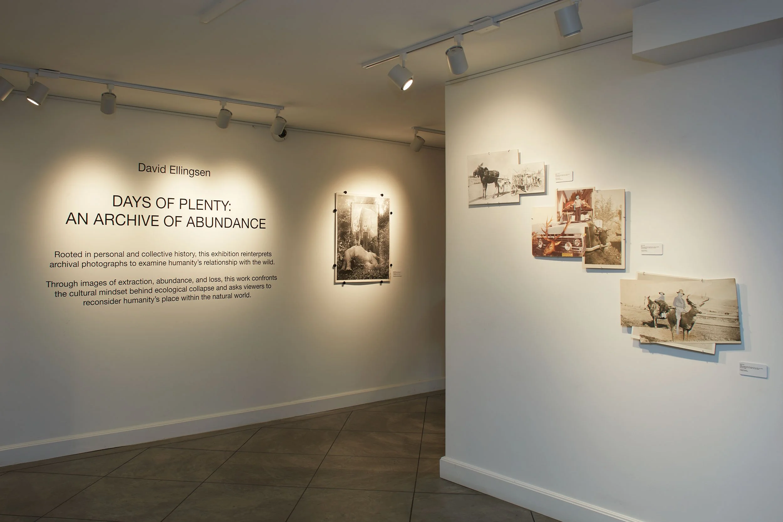 26001-David-Ellingsen-exhibition-Days-of-Plenty-at-Cowichan-PAG-Jul-17-2026-67.jpg