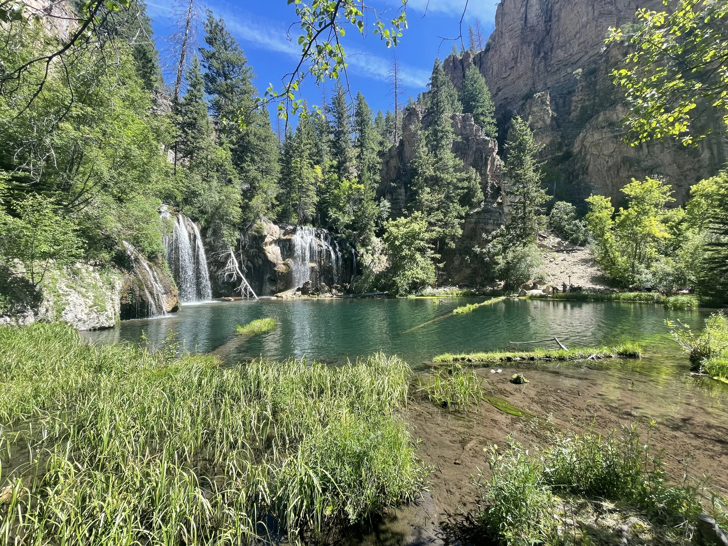 Beyond the "Sunday Scaries": When Stress Becomes Burnout