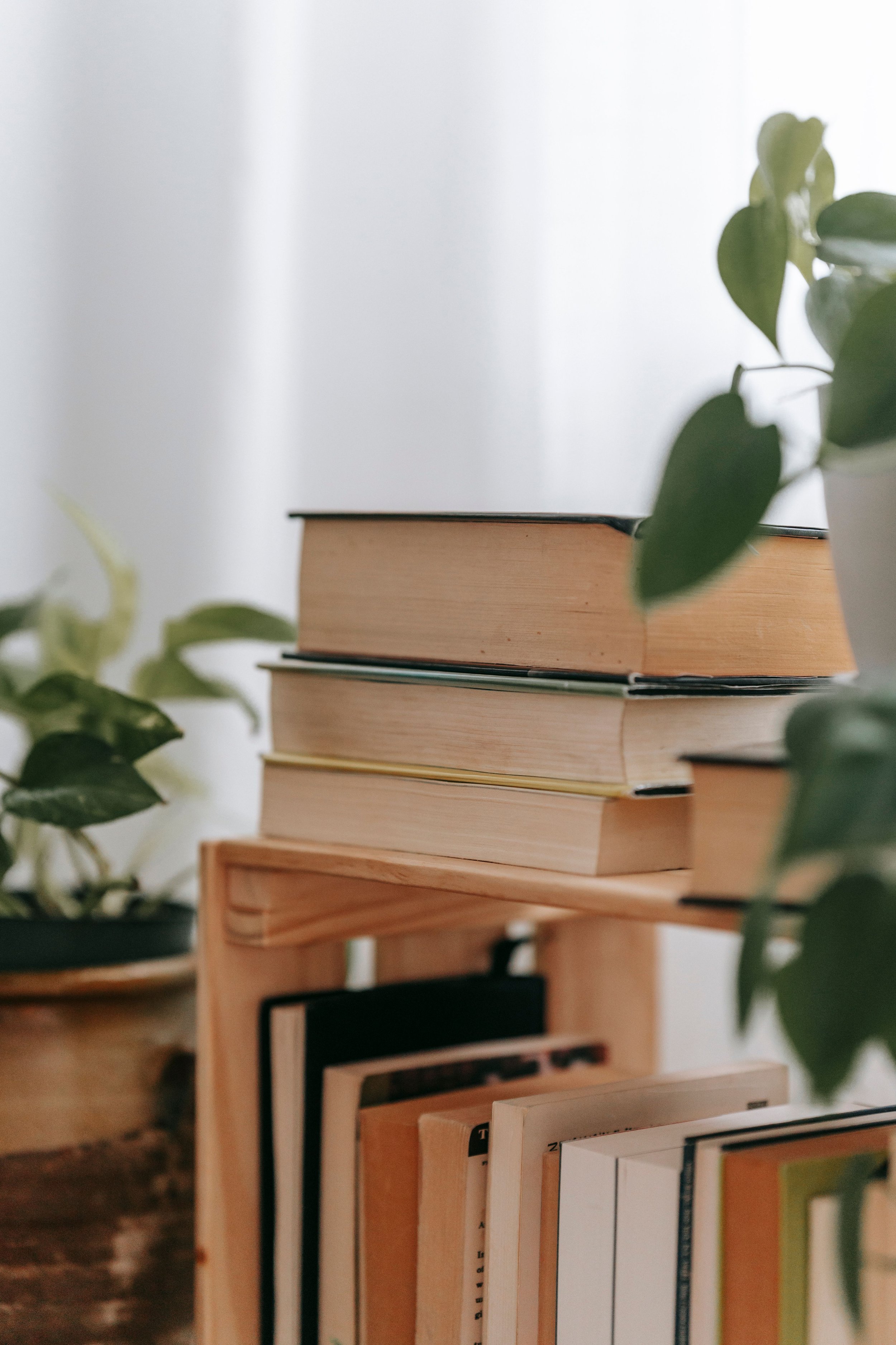 A stack of hardcover and paperback books on a wooden shelf, with green potted plants on either side. The background is a plain, white wall.