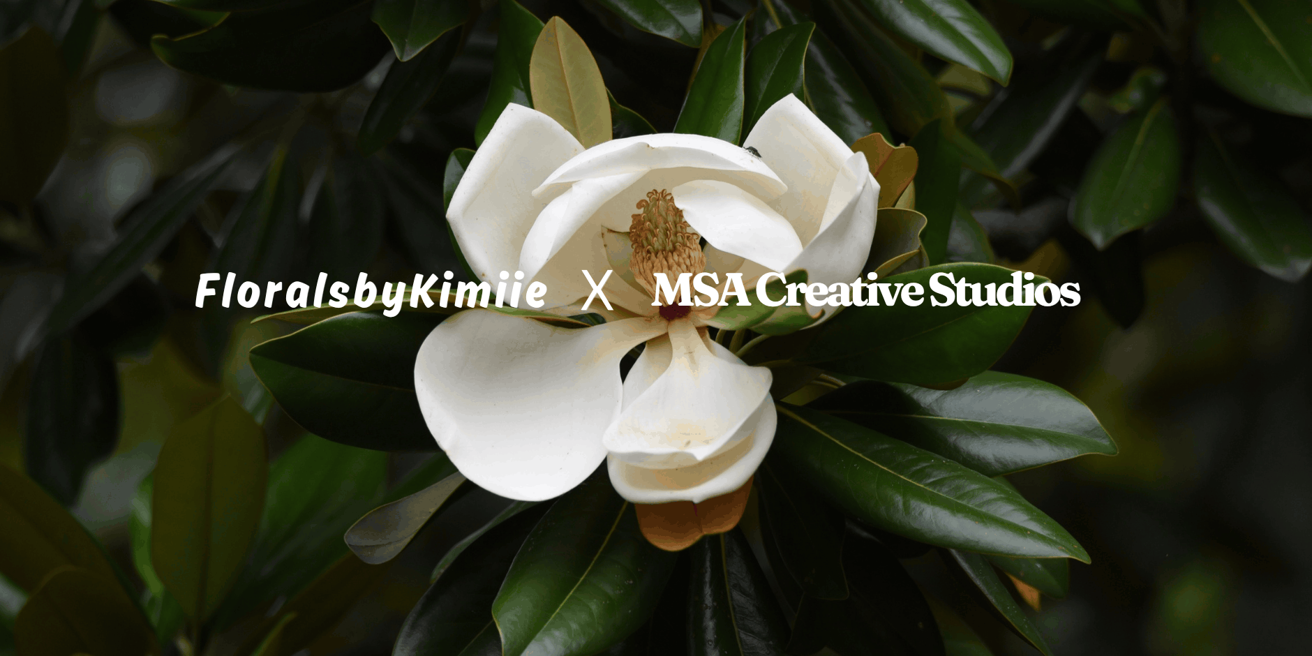 Magnolia Evergreen & Friends | A Holiday Wreath Making Social
