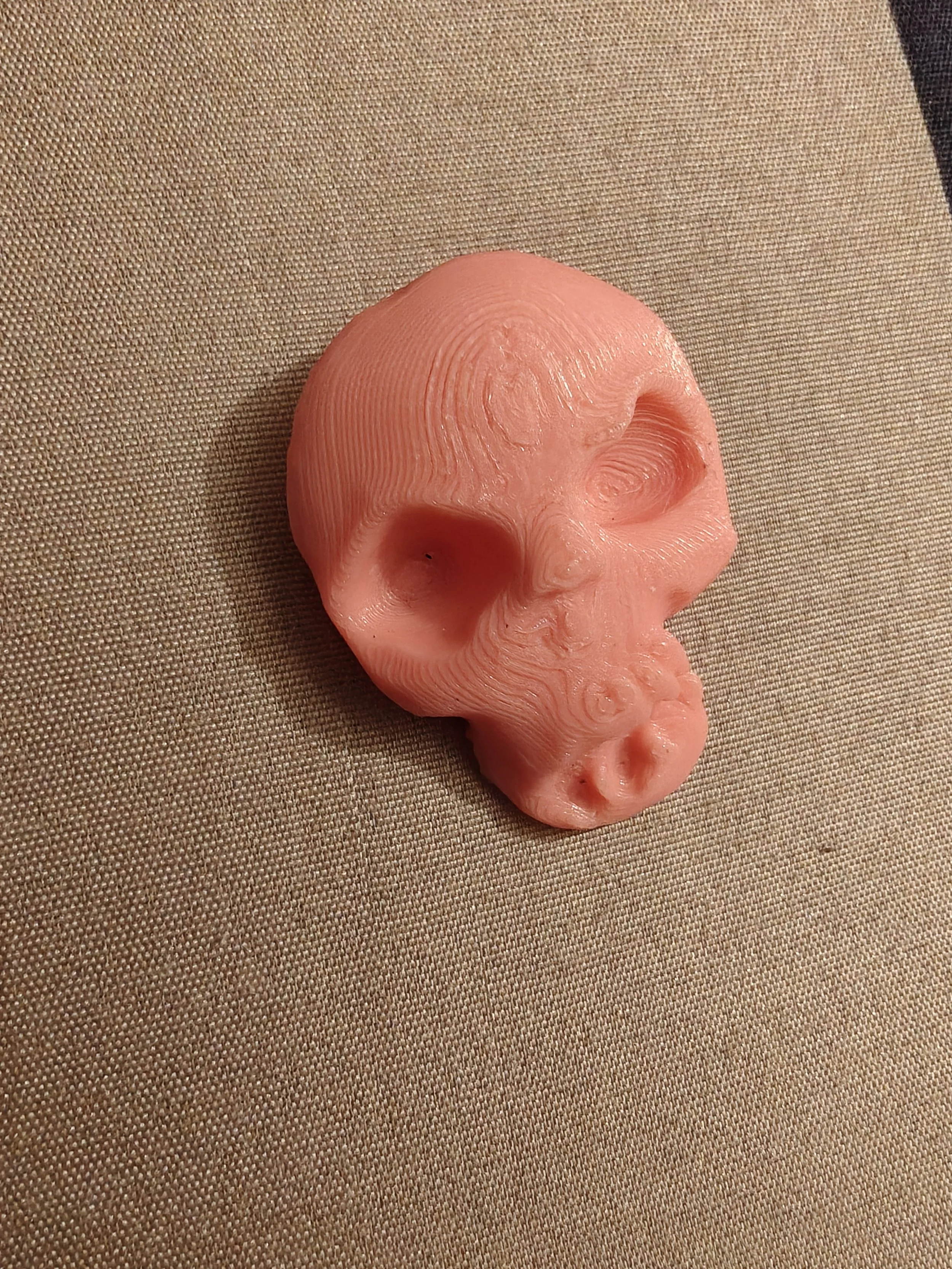 3D print of skull, 1.25' x 1.5', 2025