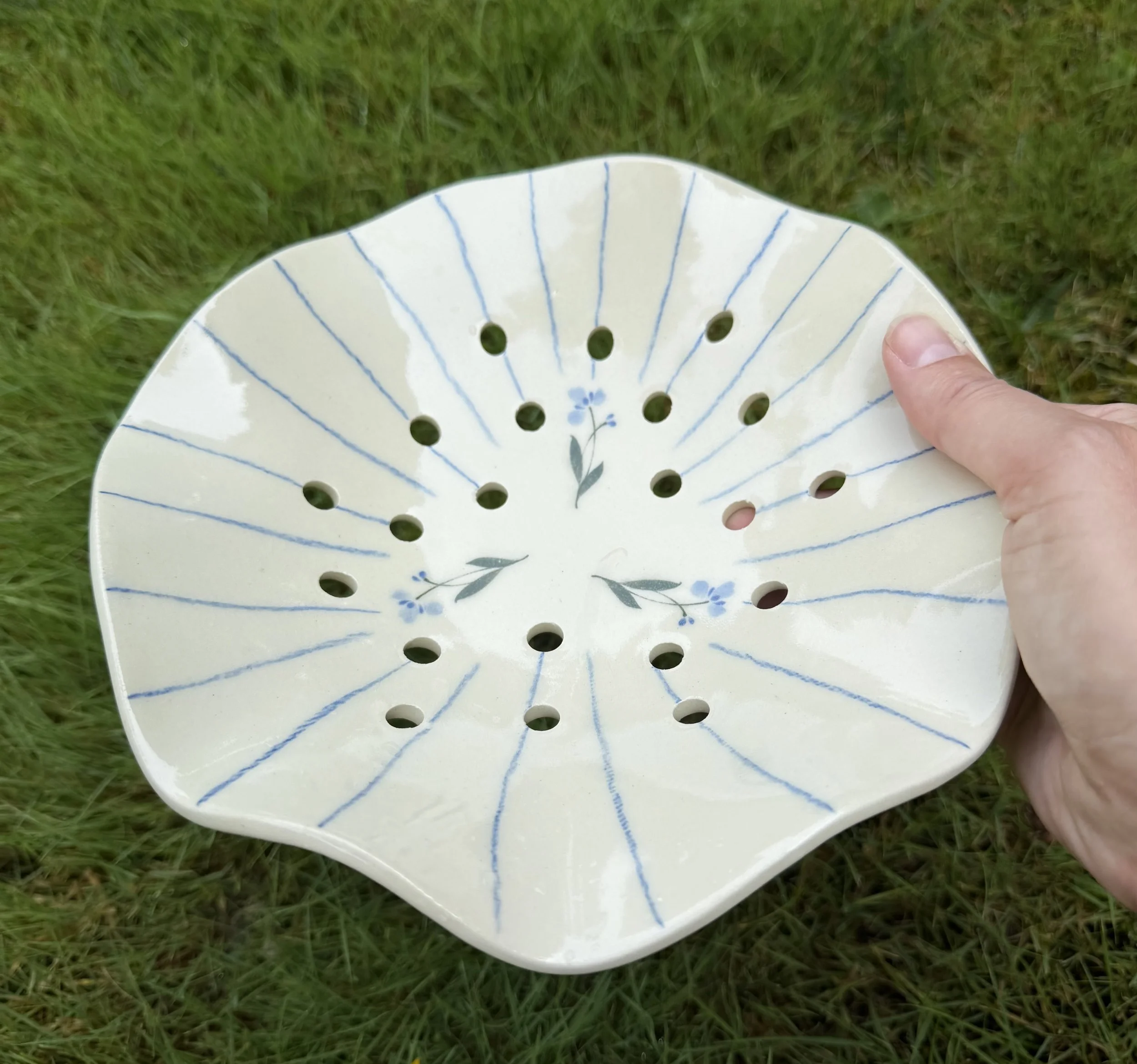 Berry Bowl