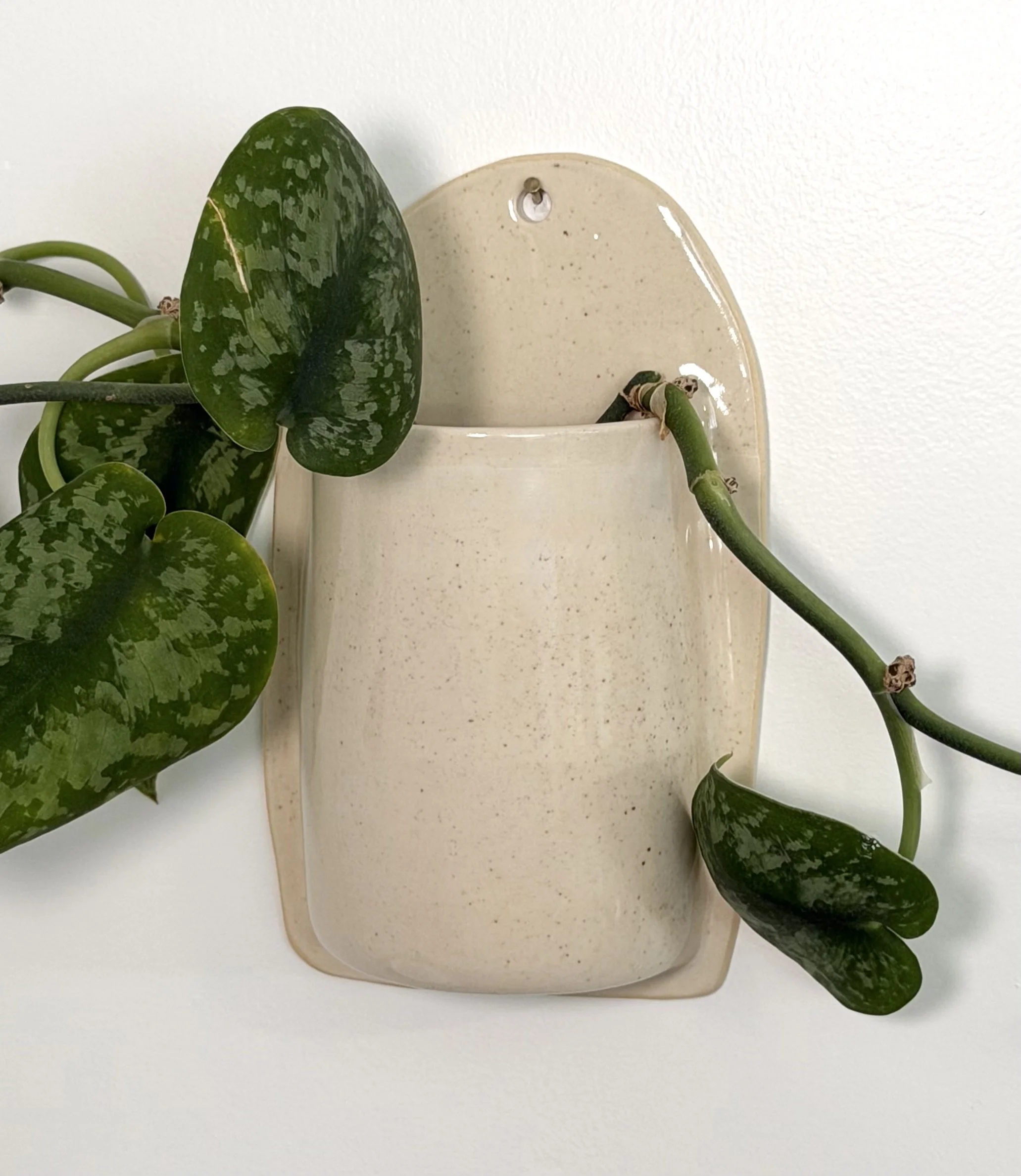 Wall Vase