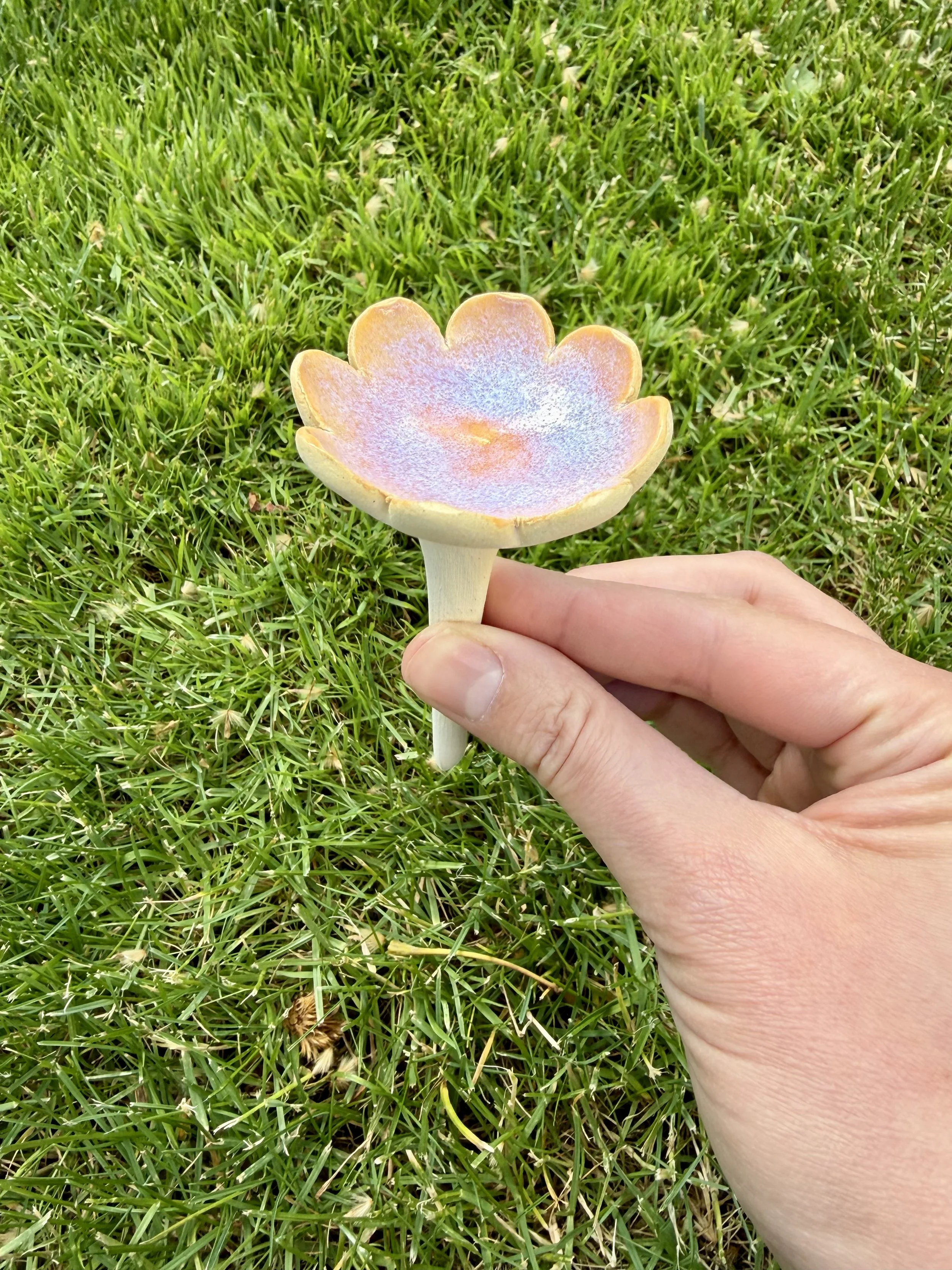 Bee Cup