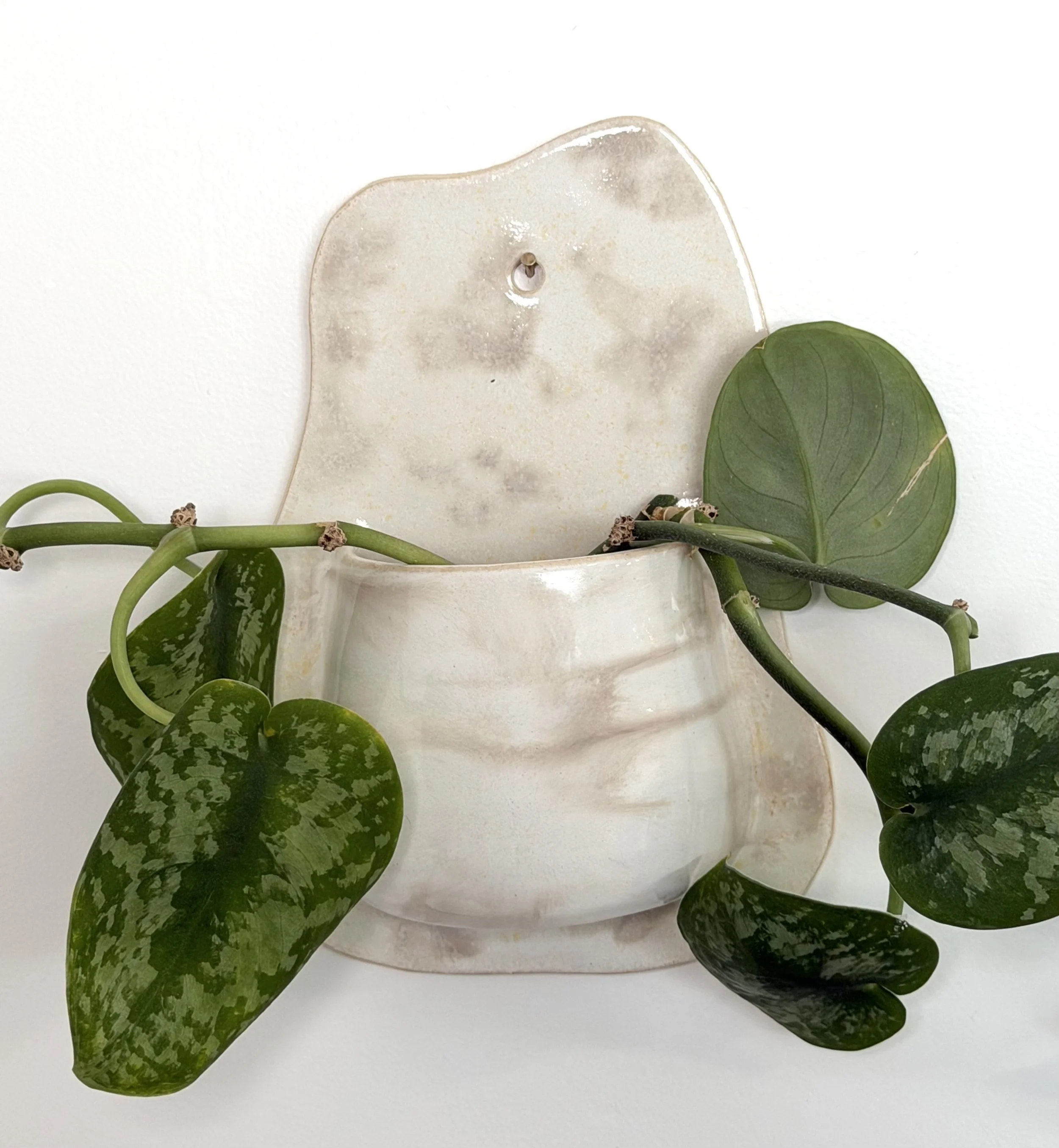 Wall Vase