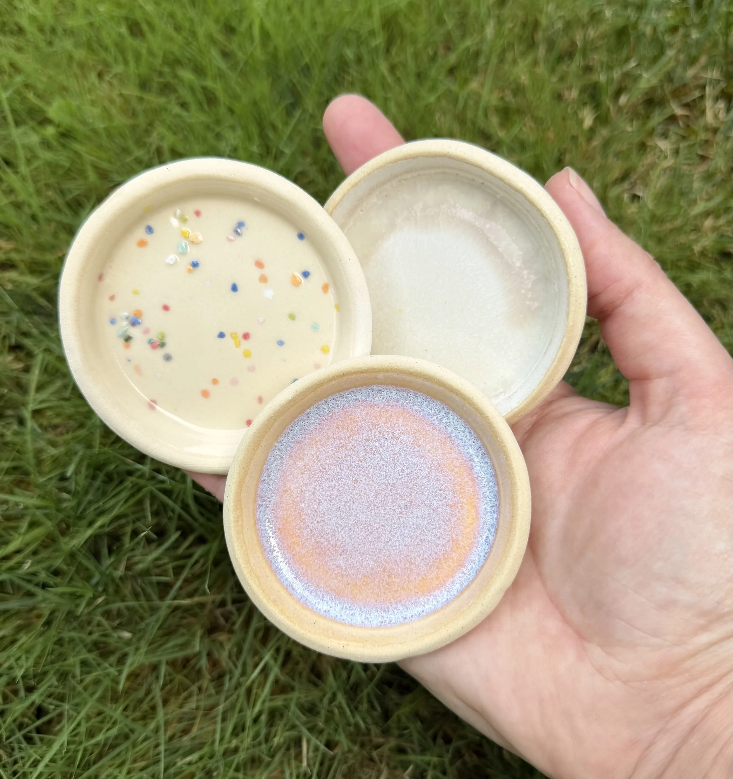 Mini Dish