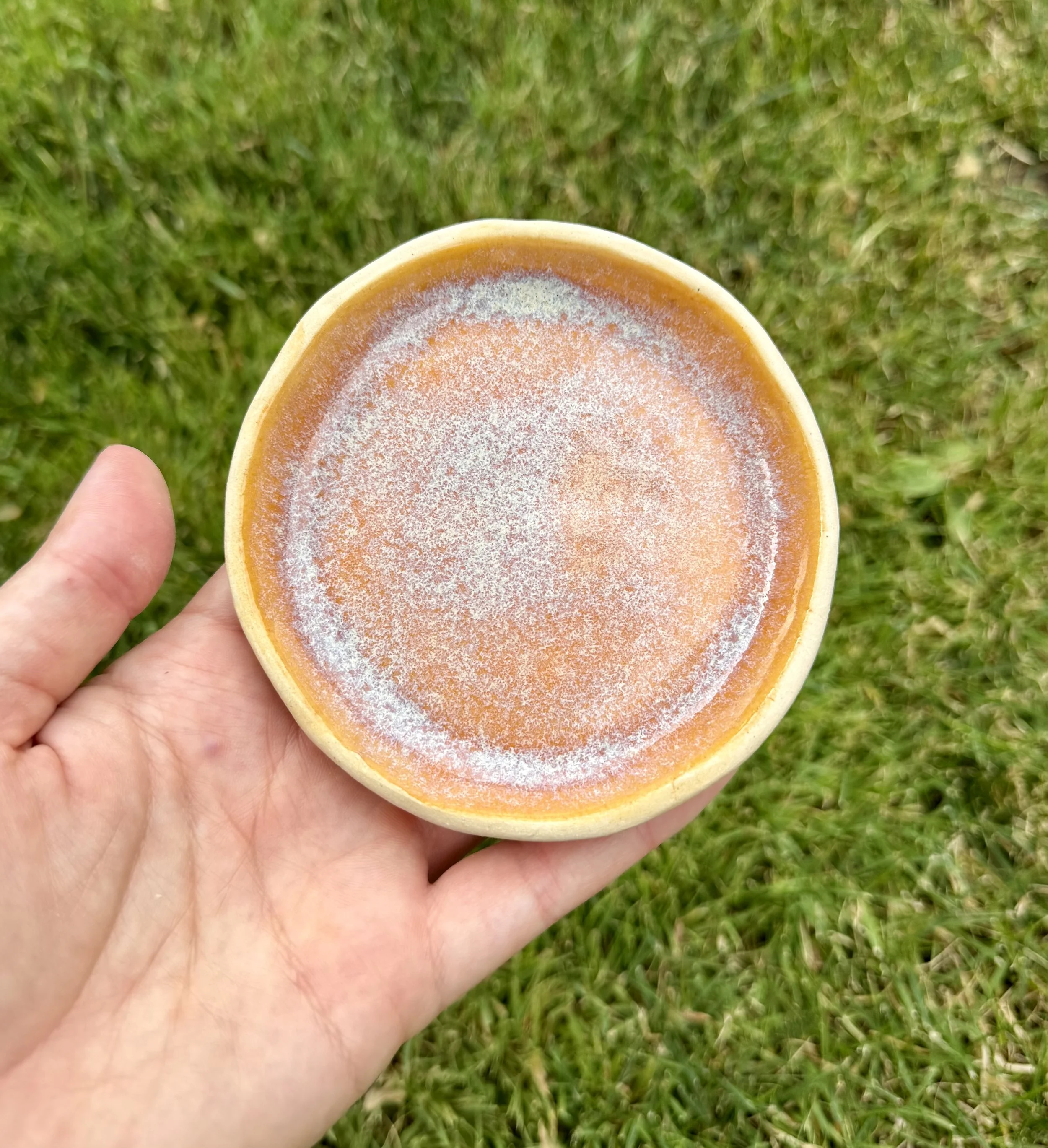 Small Dish