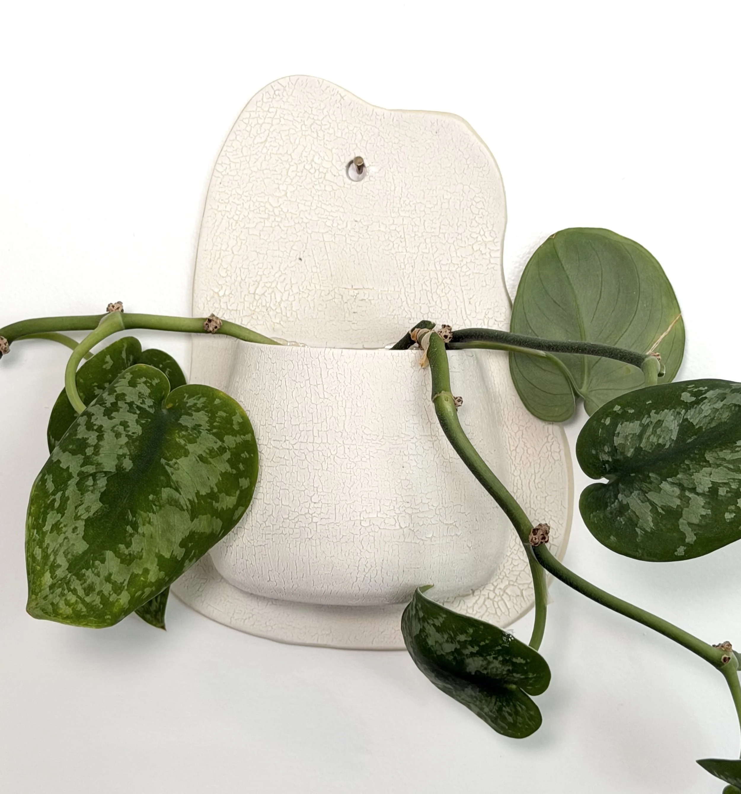 Wall Vase